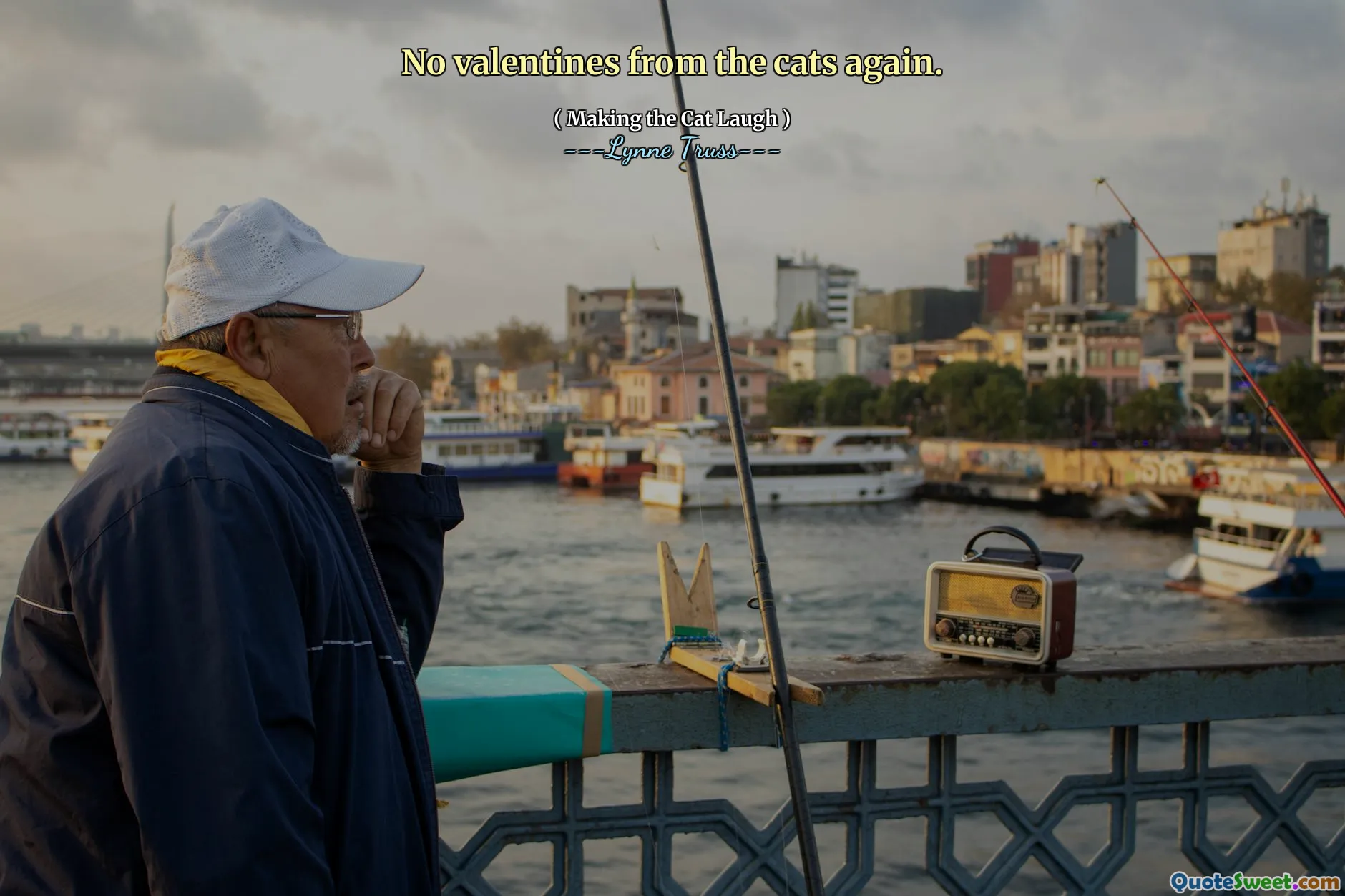 No valentines from the cats again.