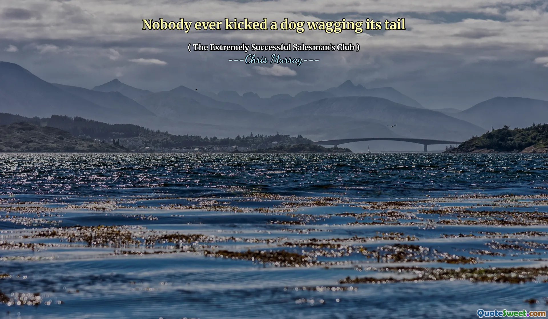 没有人踢狗在尾巴上摇晃