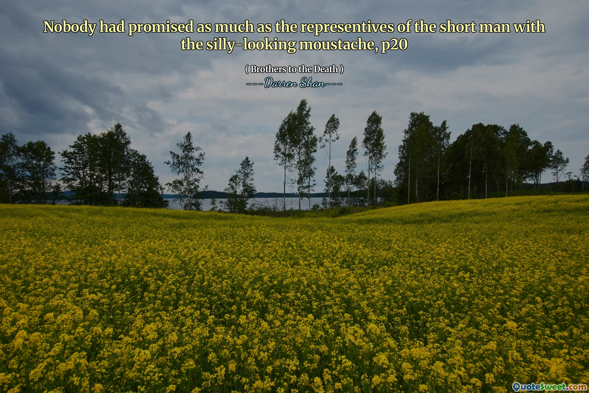 Nobody had promised as much as the representives of the short man with the silly-looking moustache, p20