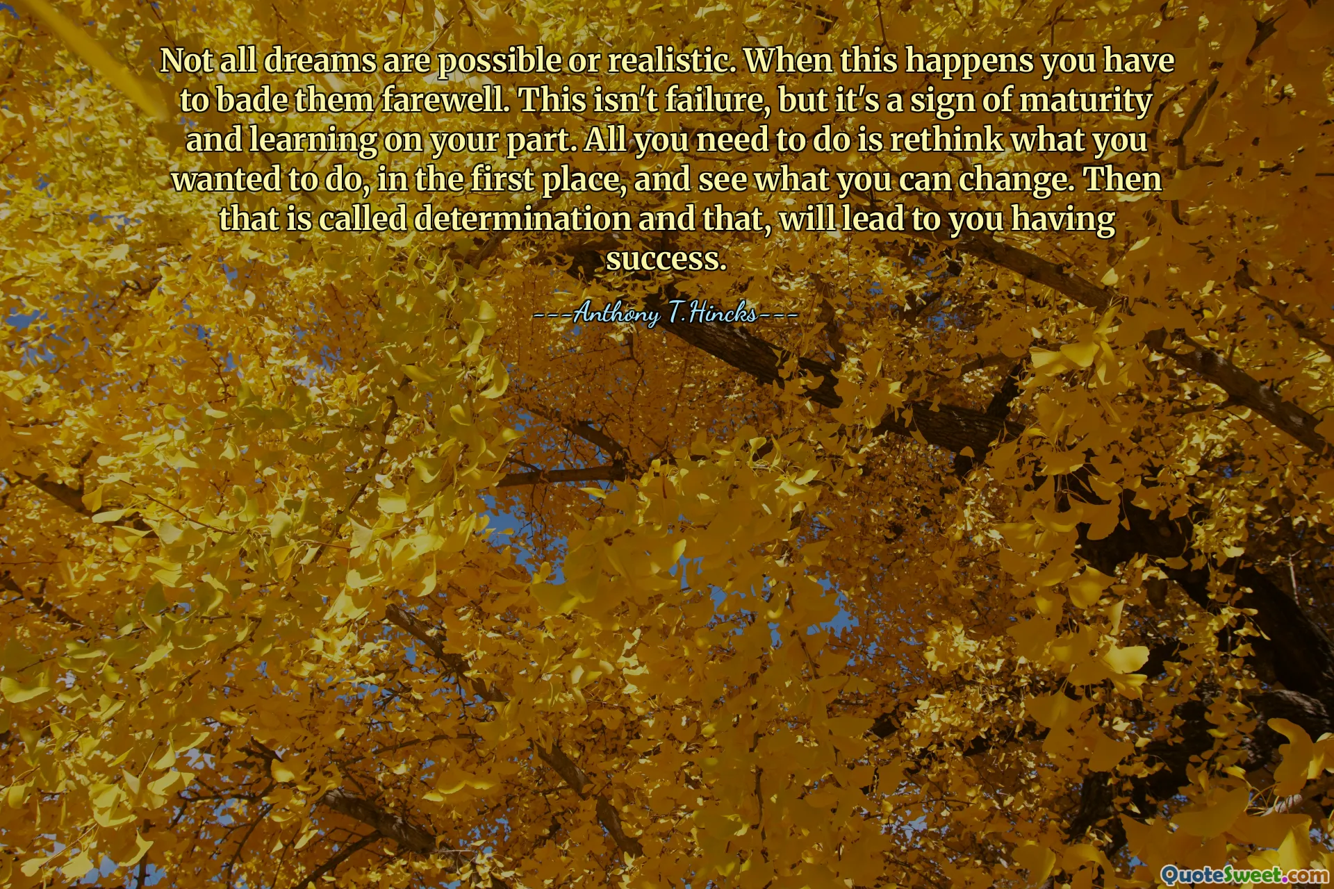 Not all dreams are possible or realistic. When this happens you have to bade them farewell. This isn't failure, but it's a sign of maturity and learning on your part. All you need to do is rethink what you wanted to do, in the first place, and see what you can change. Then that is called determination and that, will lead to you having success.