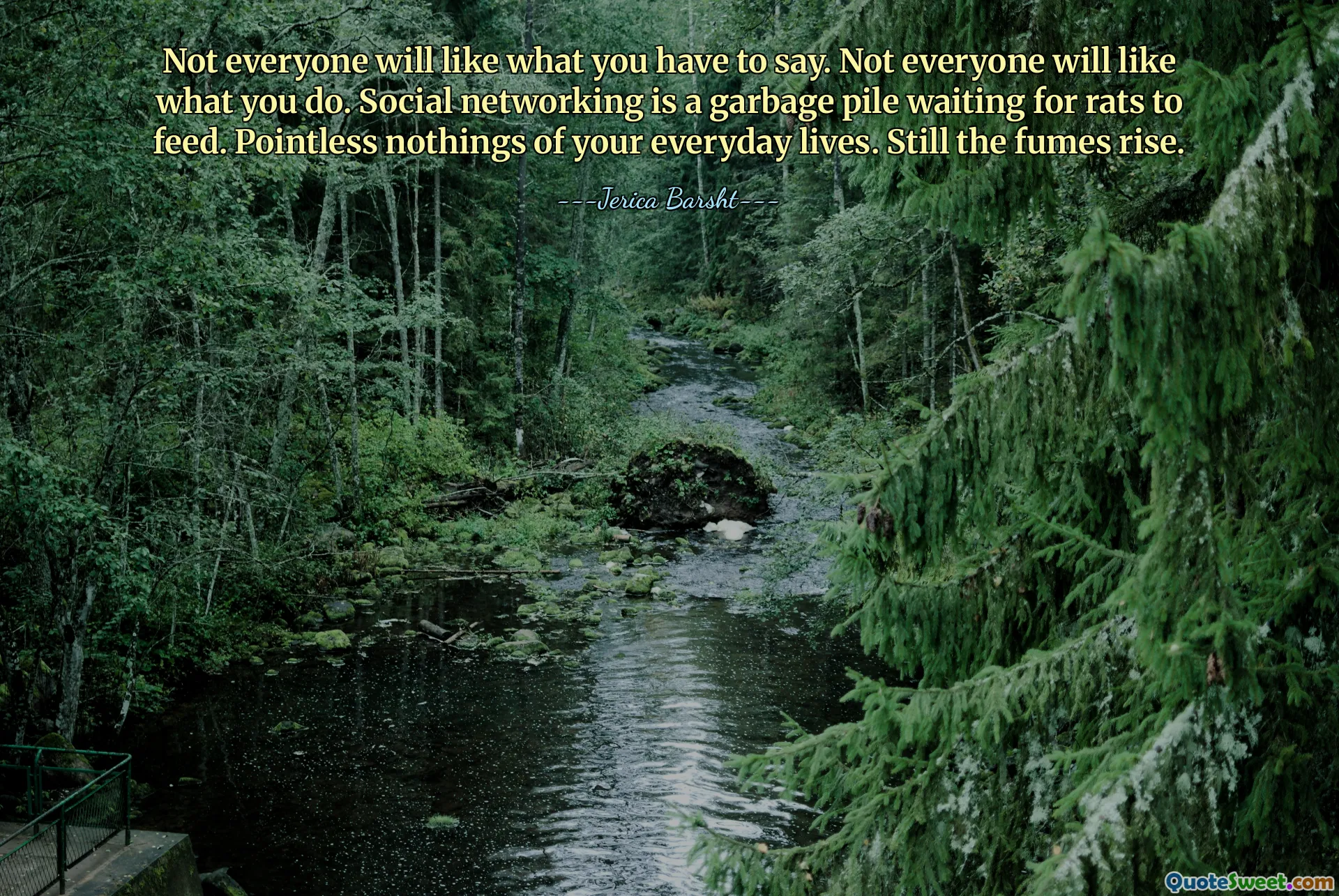 Not everyone will like what you have to say. Not everyone will like what you do. Social networking is a garbage pile waiting for rats to feed. Pointless nothings of your everyday lives. Still the fumes rise.