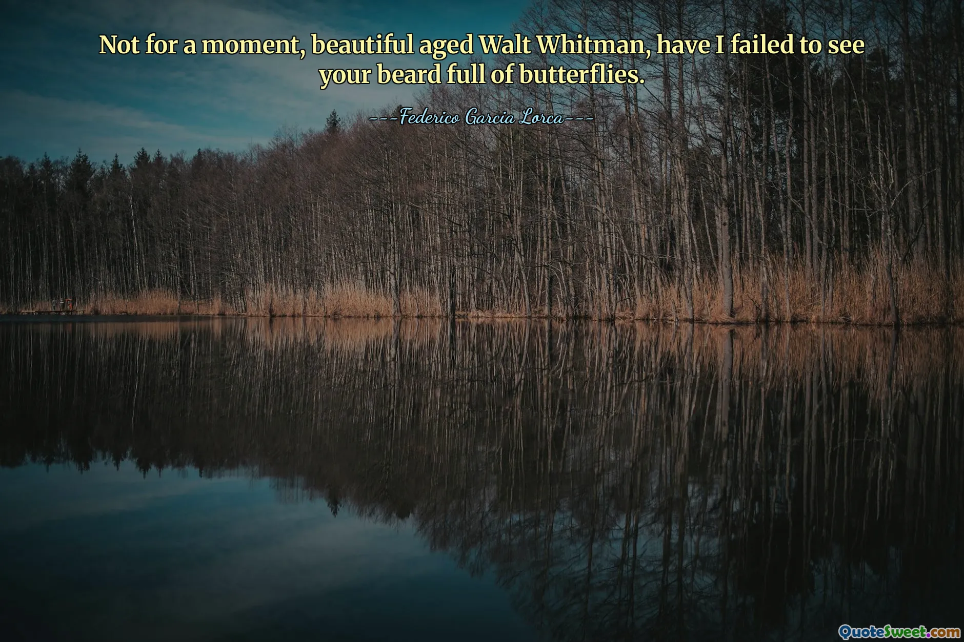 Not for a moment, beautiful aged Walt Whitman, have I failed to see your beard full of butterflies.