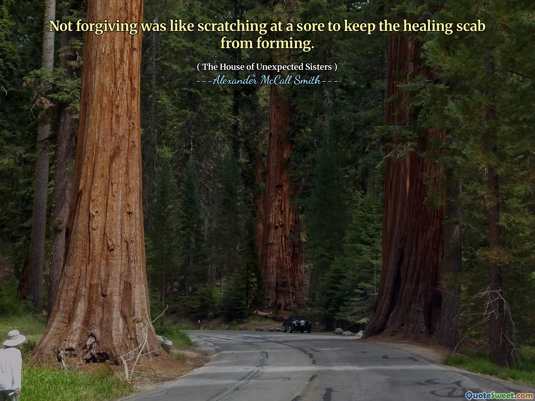 Không tha thứ giống như gãi khi đau để giữ cho vảy chữa bệnh không hình thành.