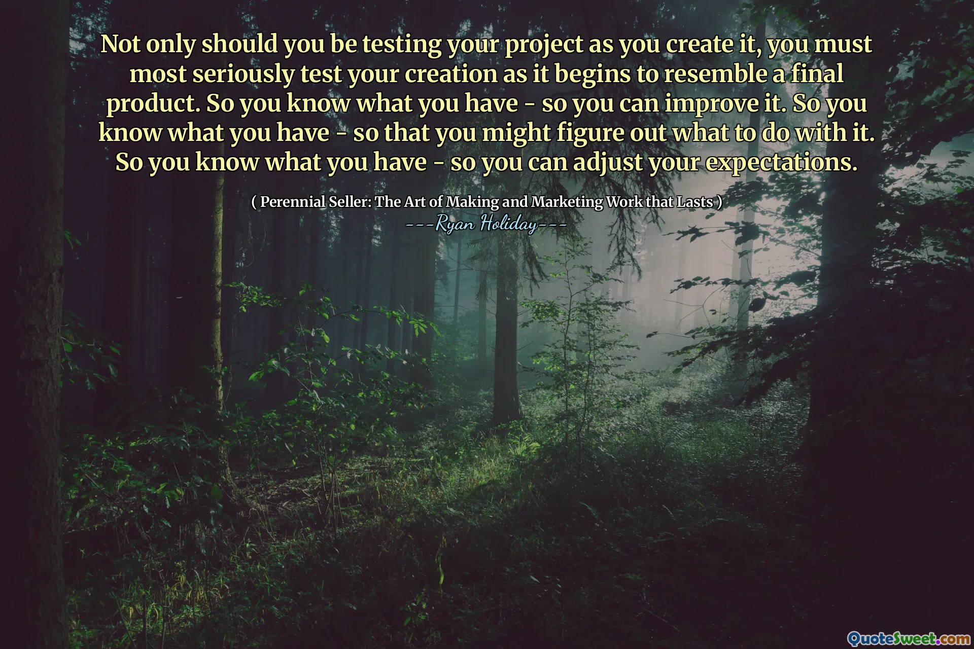 Not only should you be testing your project as you create it, you must most seriously test your creation as it begins to resemble a final product. So you know what you have - so you can improve it. So you know what you have - so that you might figure out what to do with it. So you know what you have - so you can adjust your expectations.