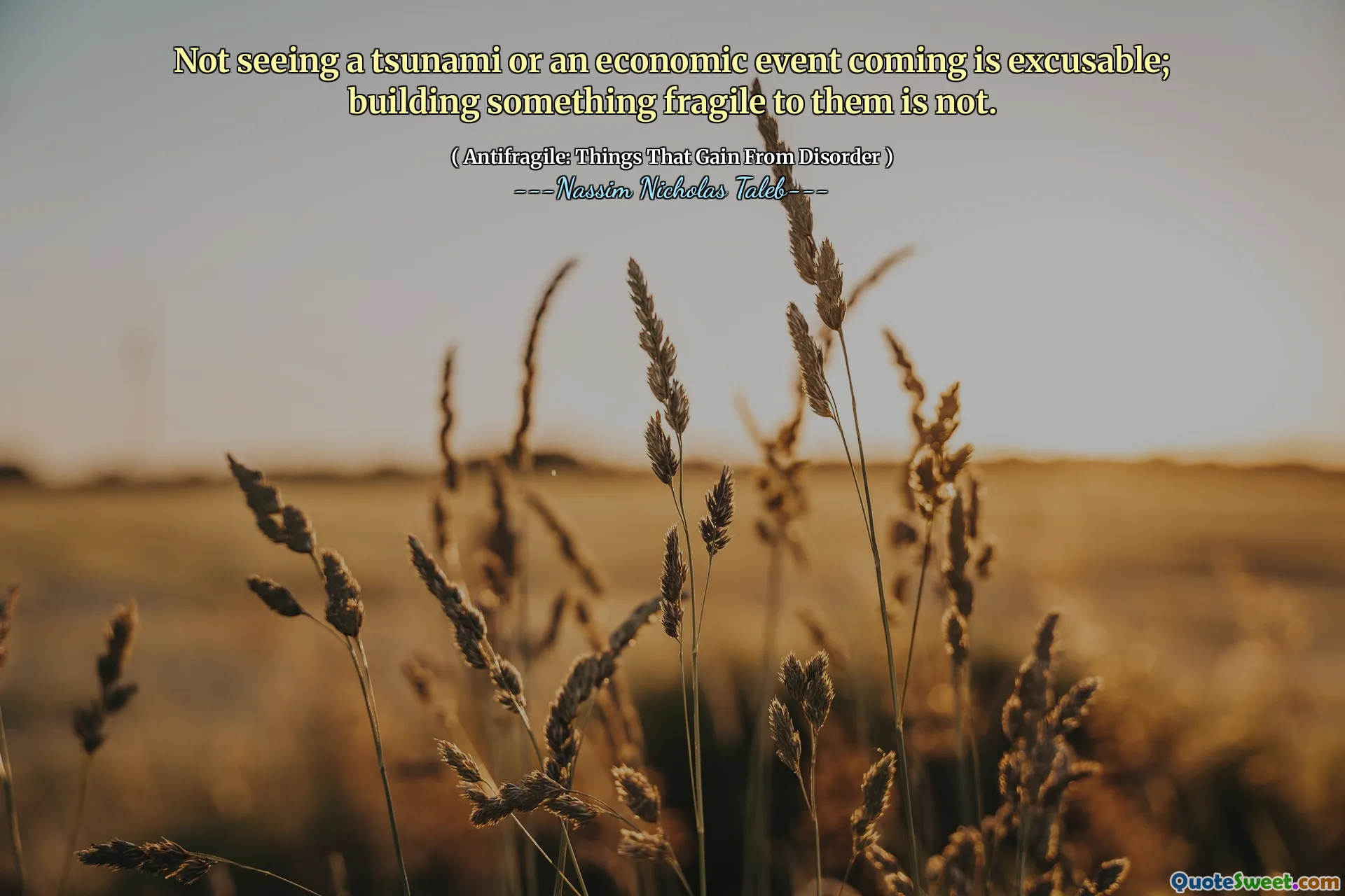 Not seeing a tsunami or an economic event coming is excusable; building something fragile to them is not.