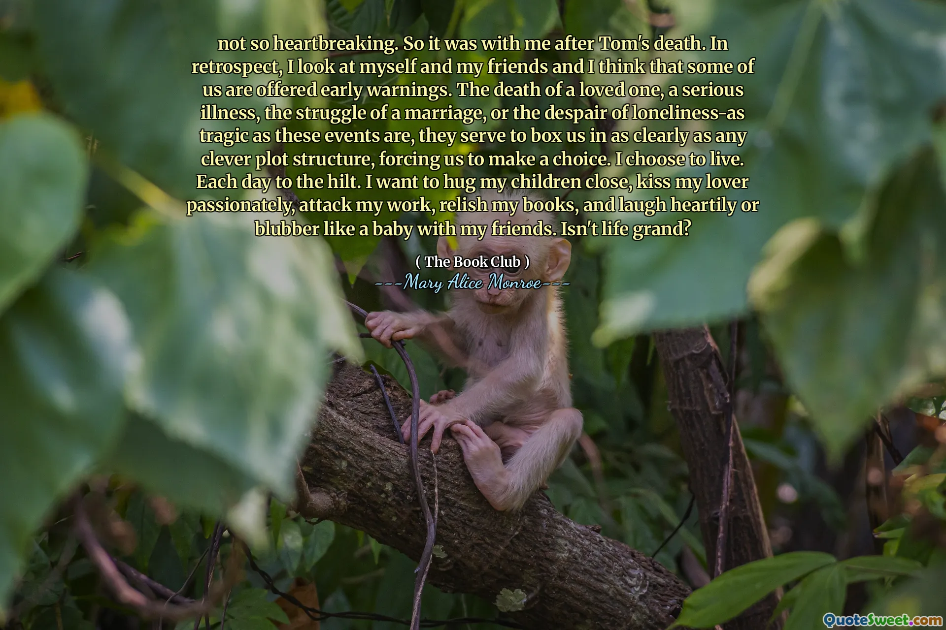 O kadar kalp kırıcı değil. Tom'un ölümünden sonra benimle oldu. Geçmişe baktığımda, kendime ve arkadaşlarıma bakıyorum ve bence bazılarımızın erken uyarılar sunulduğunu düşünüyorum. Sevilen birinin ölümü, ciddi bir hastalığın, bir evliliğin mücadelesi veya yalnızlığın umutsuzluğu-bu olaylar kadar trajik gibi, bizi herhangi bir akıllı arsa yapısı kadar net bir şekilde kutlamaya hizmet ederler ve bizi bir seçim yapmaya zorlarlar. Yaşamayı seçiyorum. Her gün kabzaya. Çocuklarımı yakından kucaklamak, sevgilimi tutkuyla öpmek, işime saldırmak, kitaplarımı zevk almak ve yürekten gülmek ya da arkadaşlarımla bir bebek gibi tıkamak istiyorum. Hayat büyük değil mi?