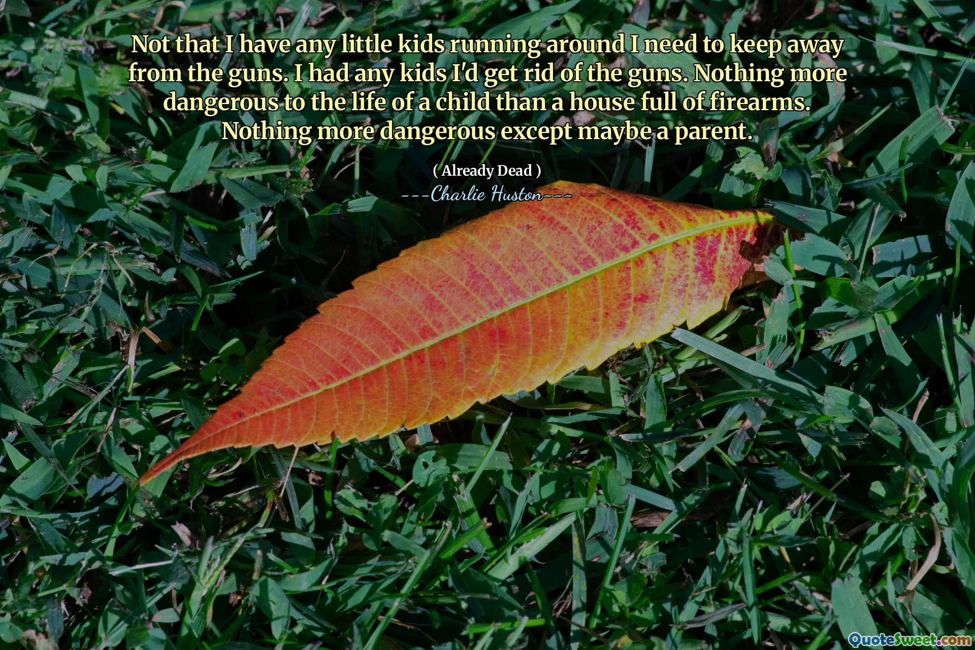 Niet dat ik kleine kinderen heb die rondrennen, ik moet wegblijven van de wapens. Ik had kinderen die ik van de wapens kwijt zou raken. Niets gevaarlijker voor het leven van een kind dan een huis vol vuurwapens. Niets gevaarlijker dan misschien een ouder.