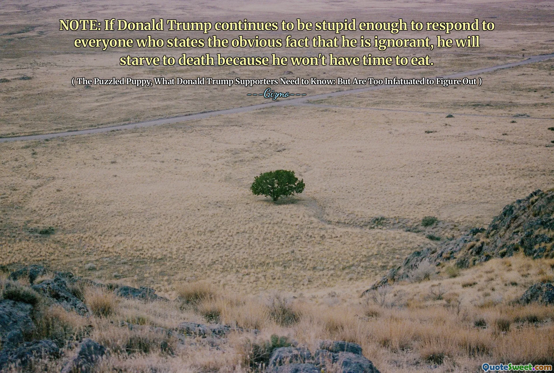 NOTE: If Donald Trump continues to be stupid enough to respond to everyone who states the obvious fact that he is ignorant, he will starve to death because he won't have time to eat.
