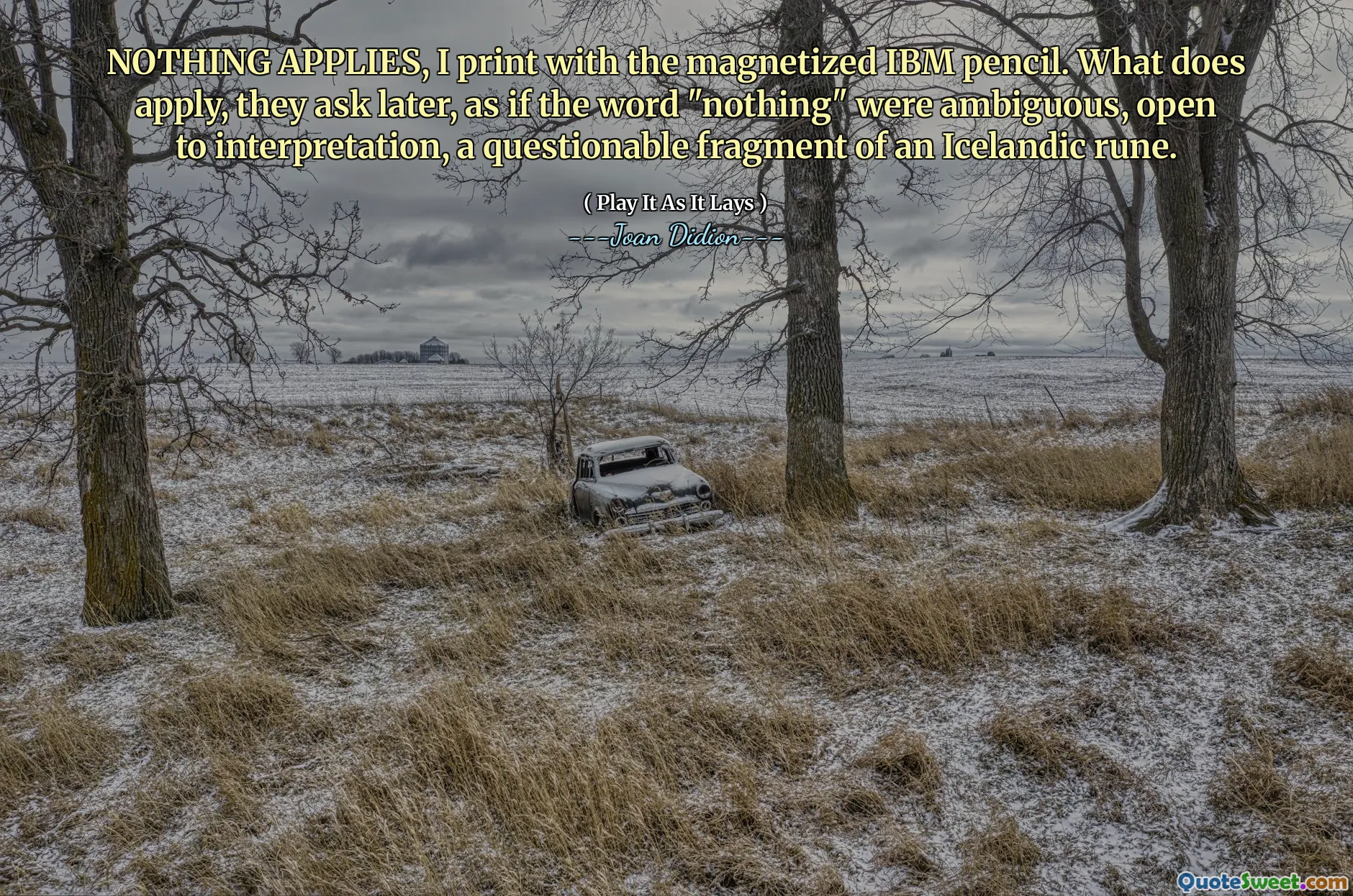 NOTHING APPLIES, I print with the magnetized IBM pencil. What does apply, they ask later, as if the word "nothing" were ambiguous, open to interpretation, a questionable fragment of an Icelandic rune.