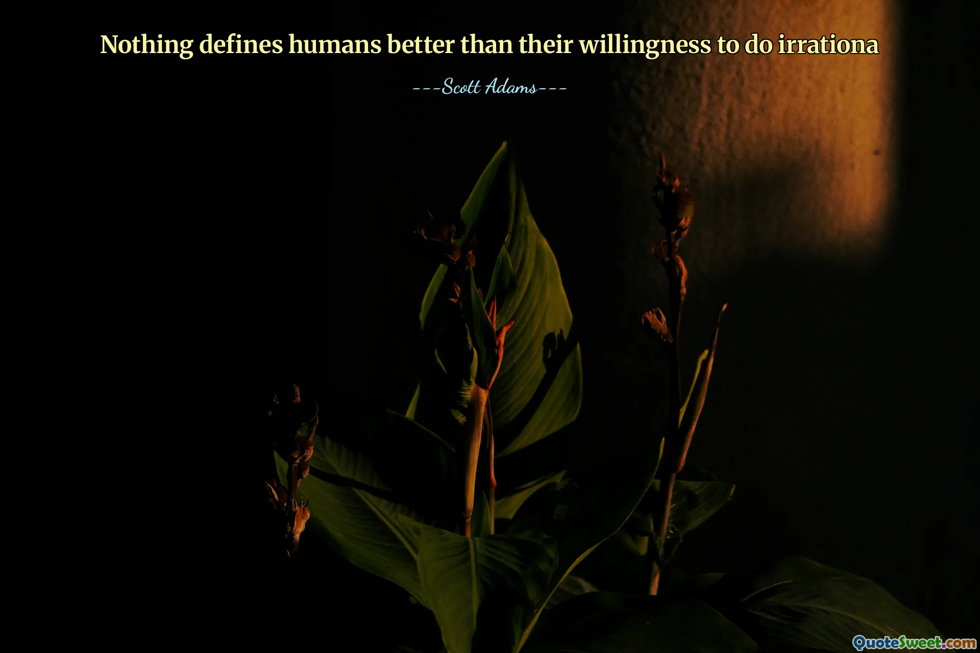 Ingenting definierar människor bättre än deras villighet att göra irrationell