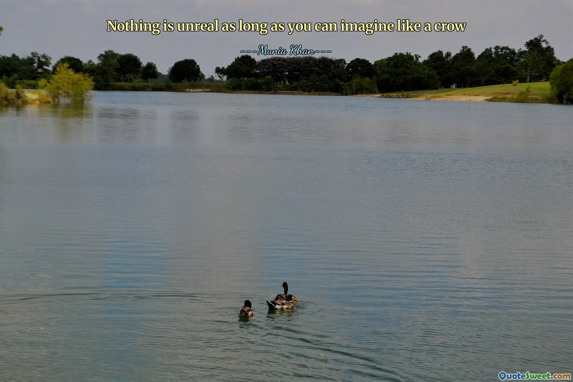 Nothing is unreal as long as you can imagine like a crow