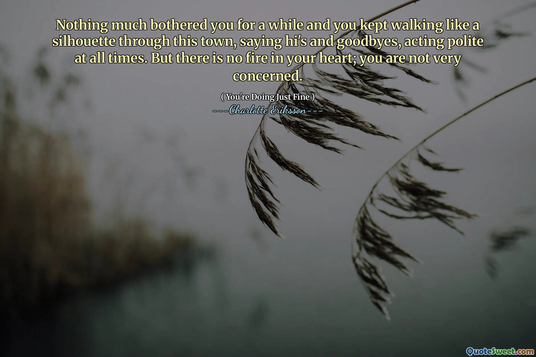 Nothing much bothered you for a while and you kept walking like a silhouette through this town, saying hi's and goodbyes, acting polite at all times. But there is no fire in your heart; you are not very concerned.