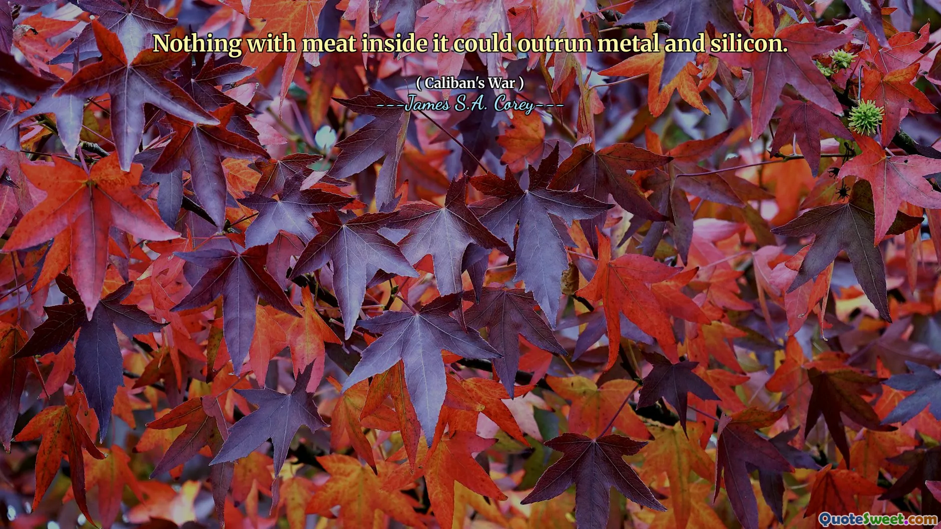 Nothing with meat inside it could outrun metal and silicon.