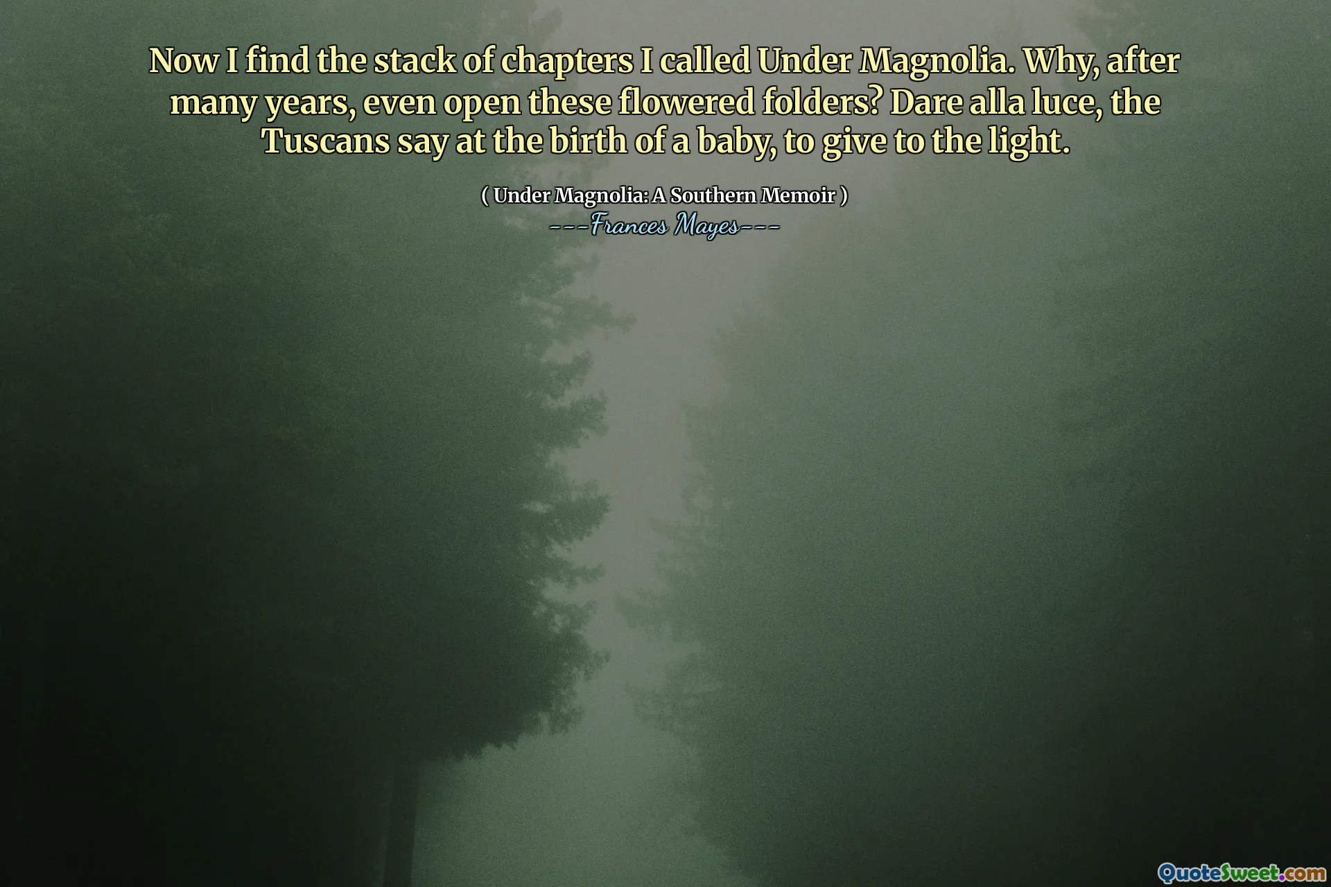 Теперь я нахожу стопку глав, которые я назвал под Магнолией. Почему после многих лет даже открывать эти цветочные папки? Смешайте Alla Luce, говорят тосканцы при рождении ребенка, чтобы дать свету.