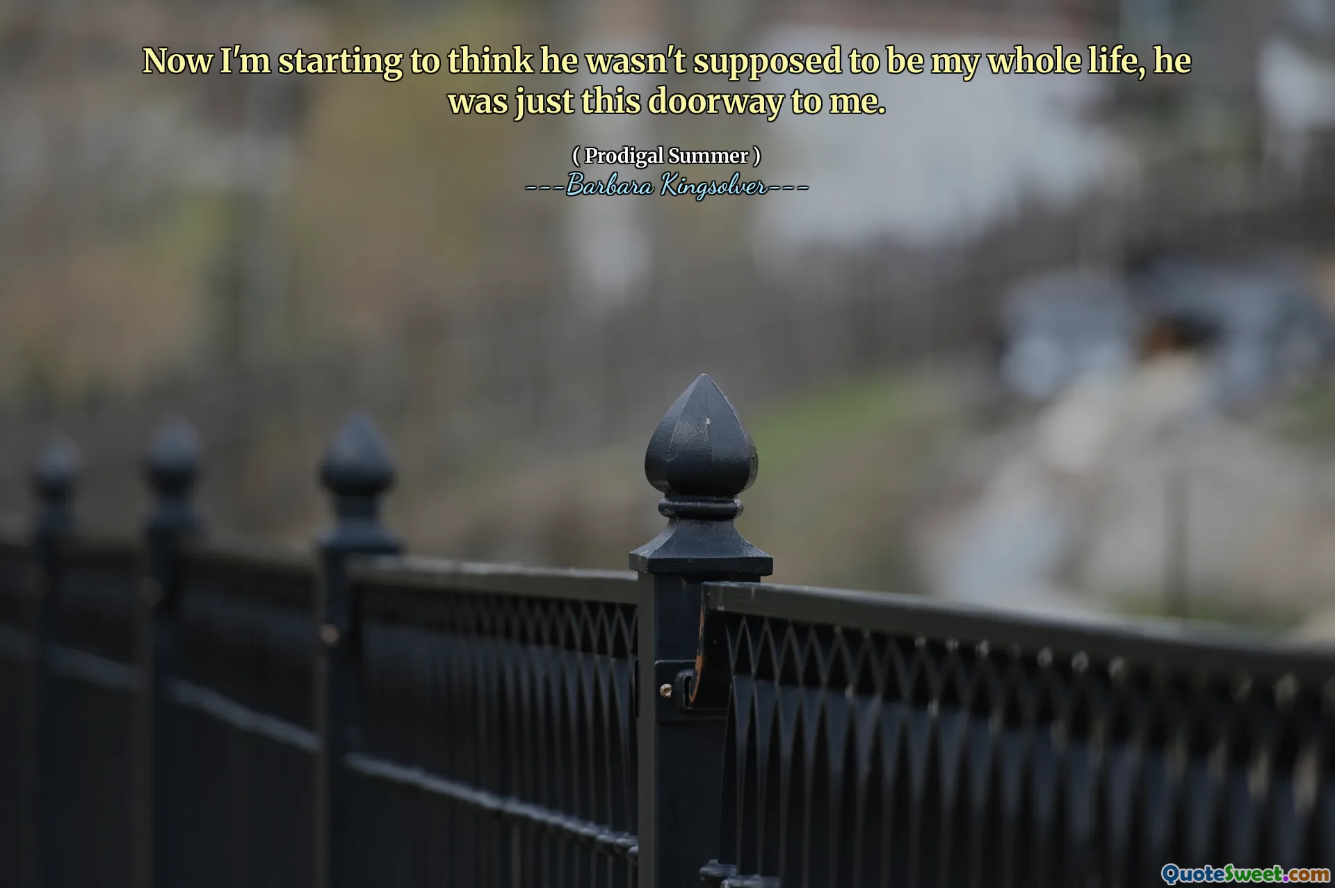 Nå begynner jeg å tro at han ikke skulle være hele livet, han var bare denne døren for meg.