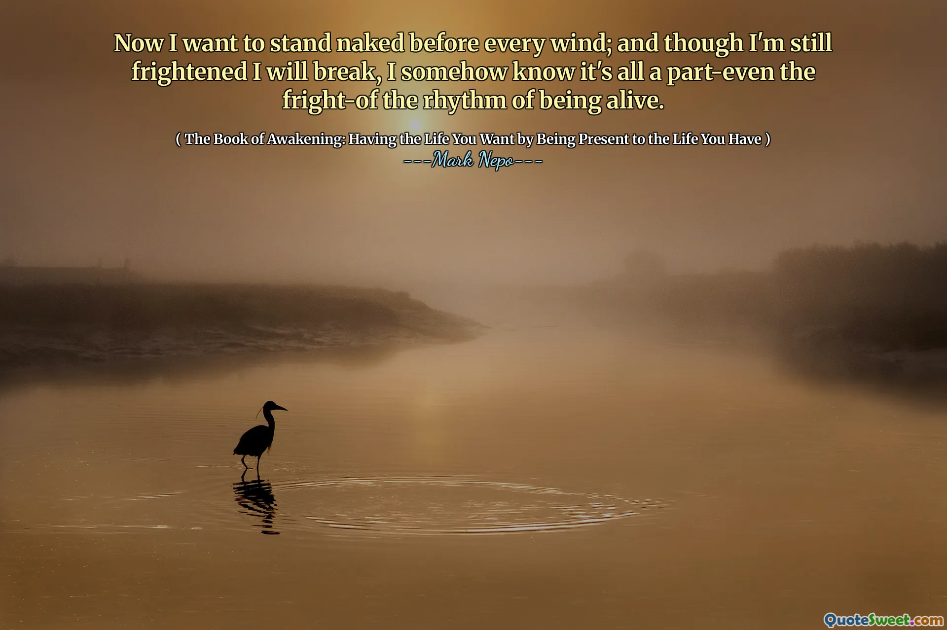 Acum vreau să stau dezbrăcat înaintea fiecărui vânt; Și, deși sunt încă înspăimântat, mă voi rupe, știu cumva că este o parte-chiar și frica ritmului de a fi în viață.