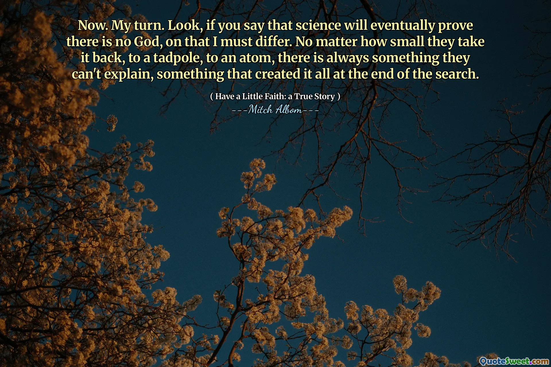 Jetzt. Ich bin an der Reihe. Schauen Sie, wenn Sie sagen, dass die Wissenschaft irgendwann beweisen wird, dass es keinen Gott gibt, muss ich mich unterscheiden. Egal wie klein sie es zurücknehmen, zu einem Kaulquappen, zu einem Atom, es gibt immer etwas, das sie nicht erklären können, etwas, das alles am Ende der Suche geschaffen hat.