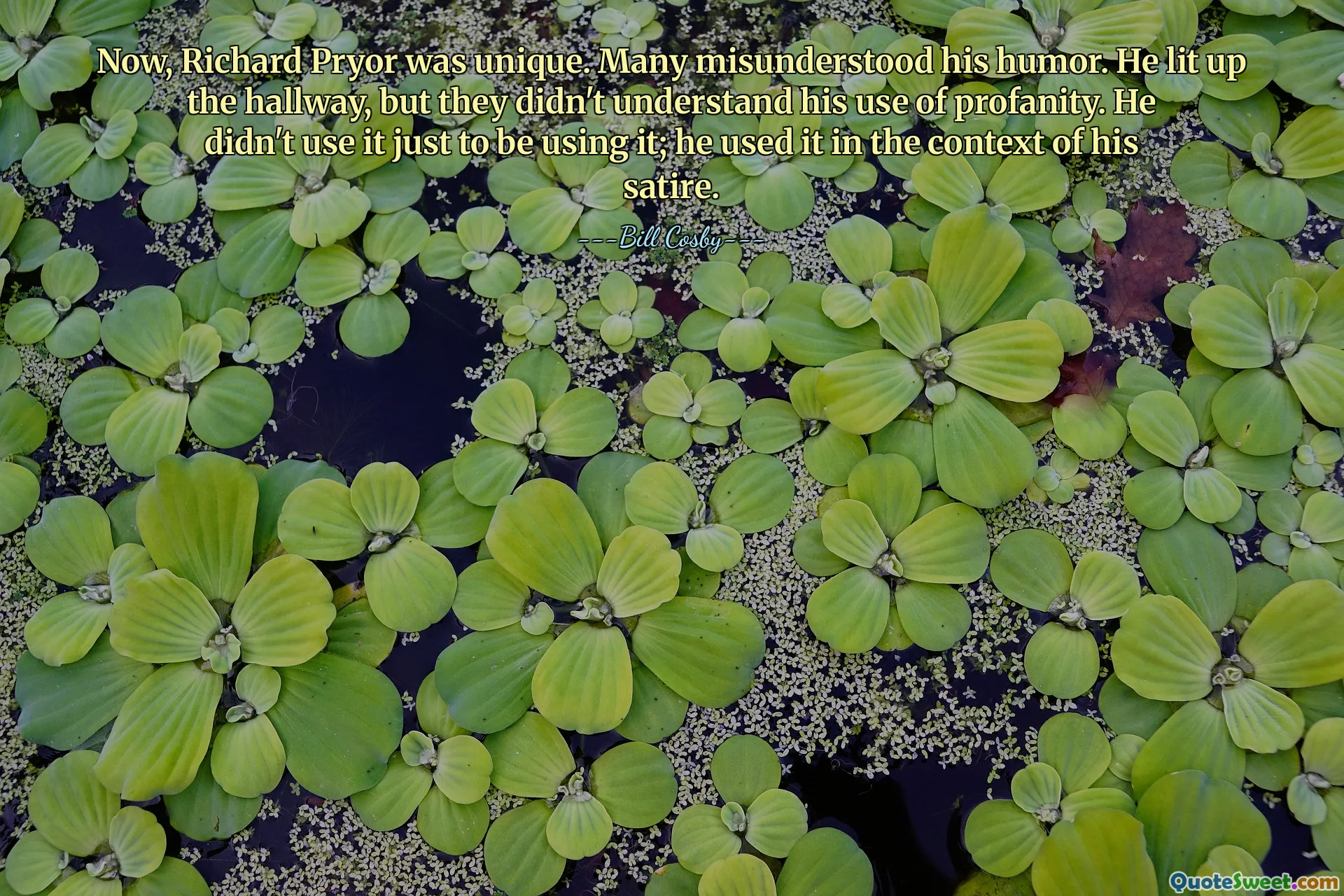 Now, Richard Pryor was unique. Many misunderstood his humor. He lit up the hallway, but they didn't understand his use of profanity. He didn't use it just to be using it; he used it in the context of his satire.