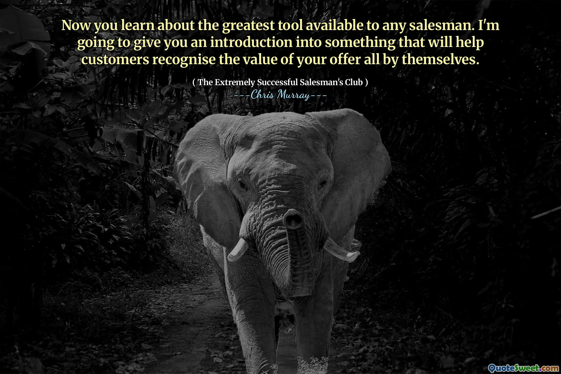 الآن تتعرف على أعظم أداة متاحة لأي بائع. سأقدم لك مقدمة في شيء من شأنه أن يساعد العملاء على التعرف على قيمة عرضك جميعًا بأنفسهم.