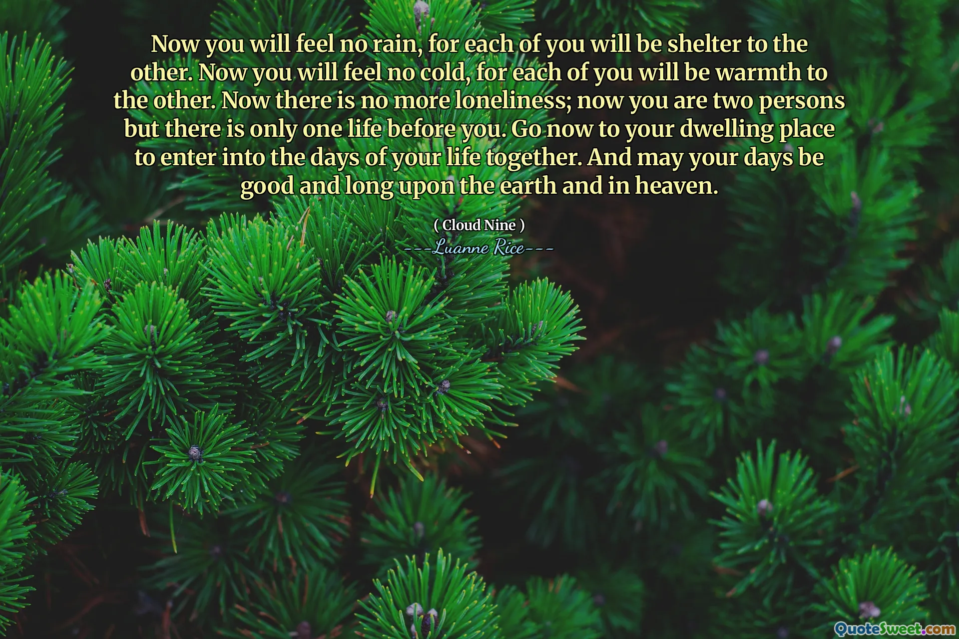 Acum nu veți simți ploaie, pentru că fiecare dintre voi veți fi adăpostiți de celălalt. Acum nu veți simți frig, pentru că fiecare dintre voi va fi căldură pentru celălalt. Acum nu mai există singurătate; Acum sunteți două persoane, dar există o singură viață înaintea voastră. Mergeți acum la locul dvs. de locuit pentru a intra în zilele vieții voastre împreună. Și zilele voastre să fie bune și lungi pe pământ și în ceruri.