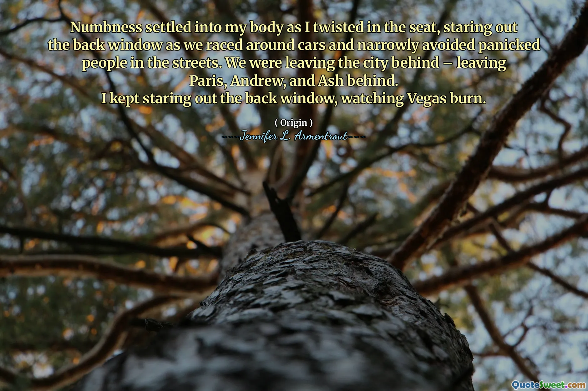 Numbness settled into my body as I twisted in the seat, staring out the back window as we raced around cars and narrowly avoided panicked people in the streets. We were leaving the city behind – leaving Paris, Andrew, and Ash behind.
I kept staring out the back window, watching Vegas burn.