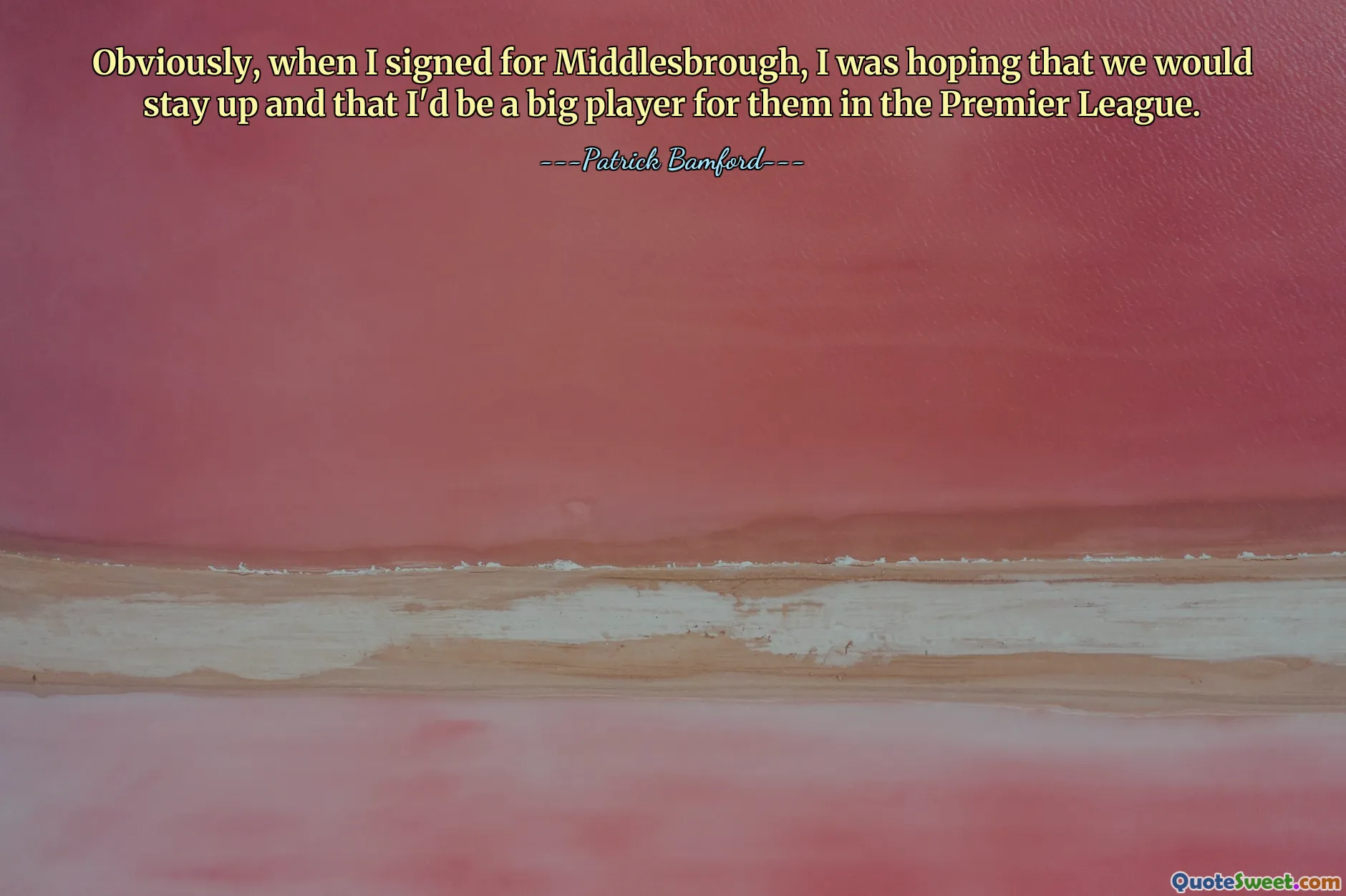 Obviously, when I signed for Middlesbrough, I was hoping that we would stay up and that I'd be a big player for them in the Premier League.