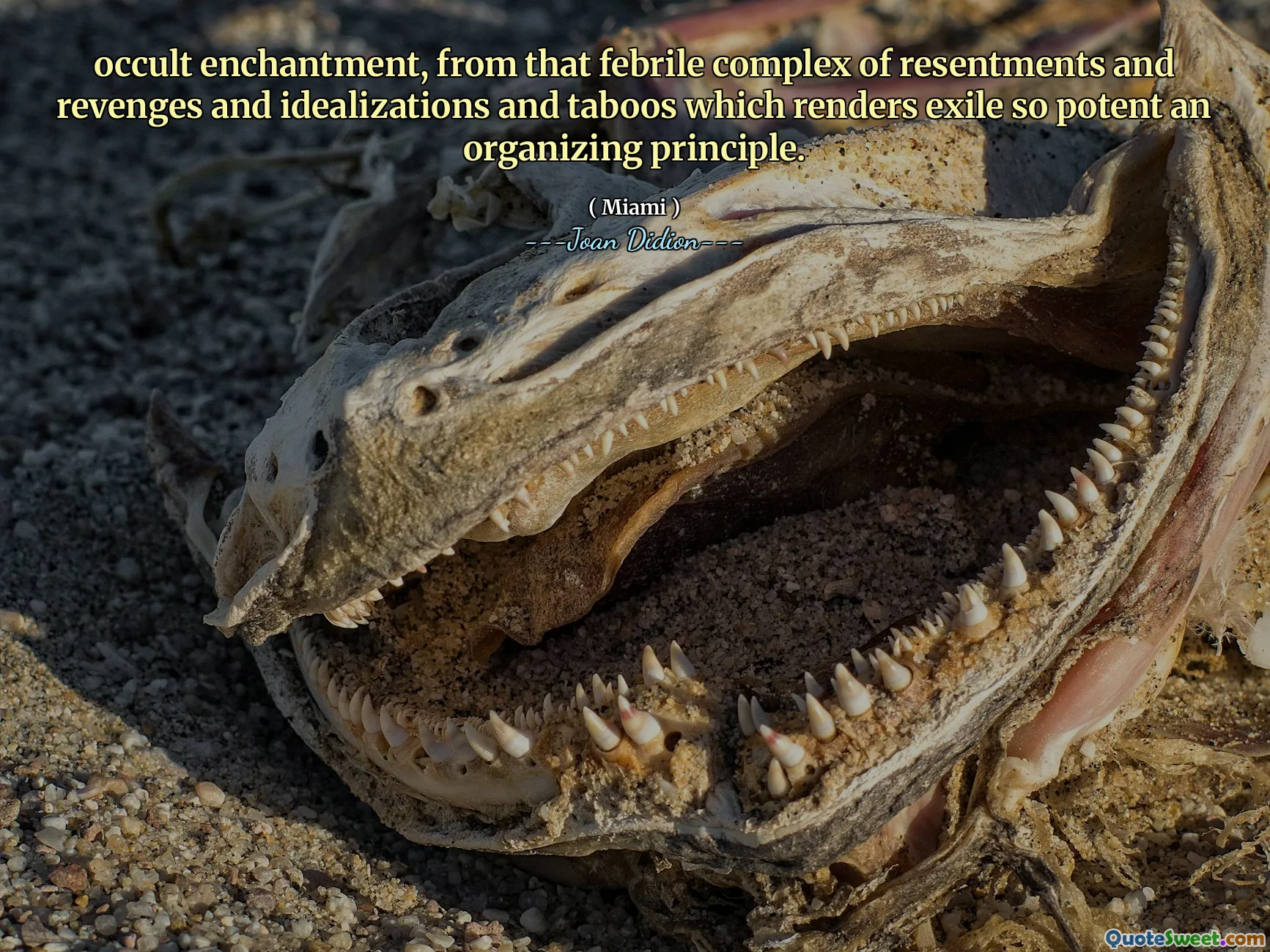 Încântarea ocultă, din acel complex febril de resentimente și răzbunări și idealizări și tabuuri, ceea ce face ca exilul să fie atât de puternic un principiu de organizare.