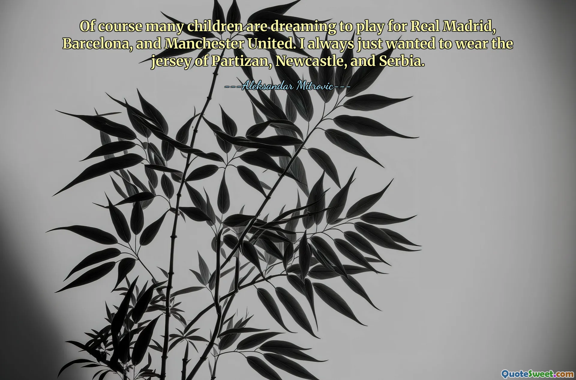 Of course many children are dreaming to play for Real Madrid, Barcelona, and Manchester United. I always just wanted to wear the jersey of Partizan, Newcastle, and Serbia.