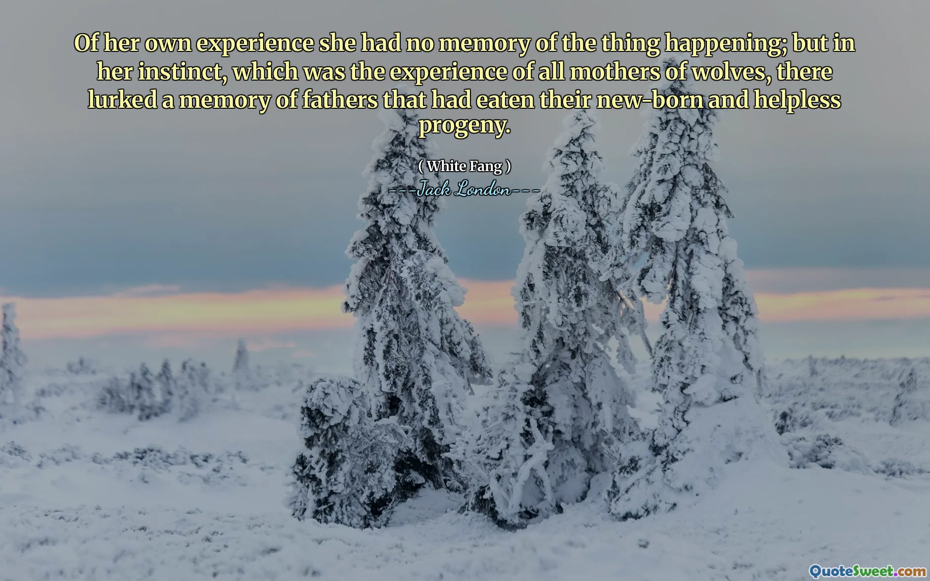 Of her own experience she had no memory of the thing happening; but in her instinct, which was the experience of all mothers of wolves, there lurked a memory of fathers that had eaten their new-born and helpless progeny.