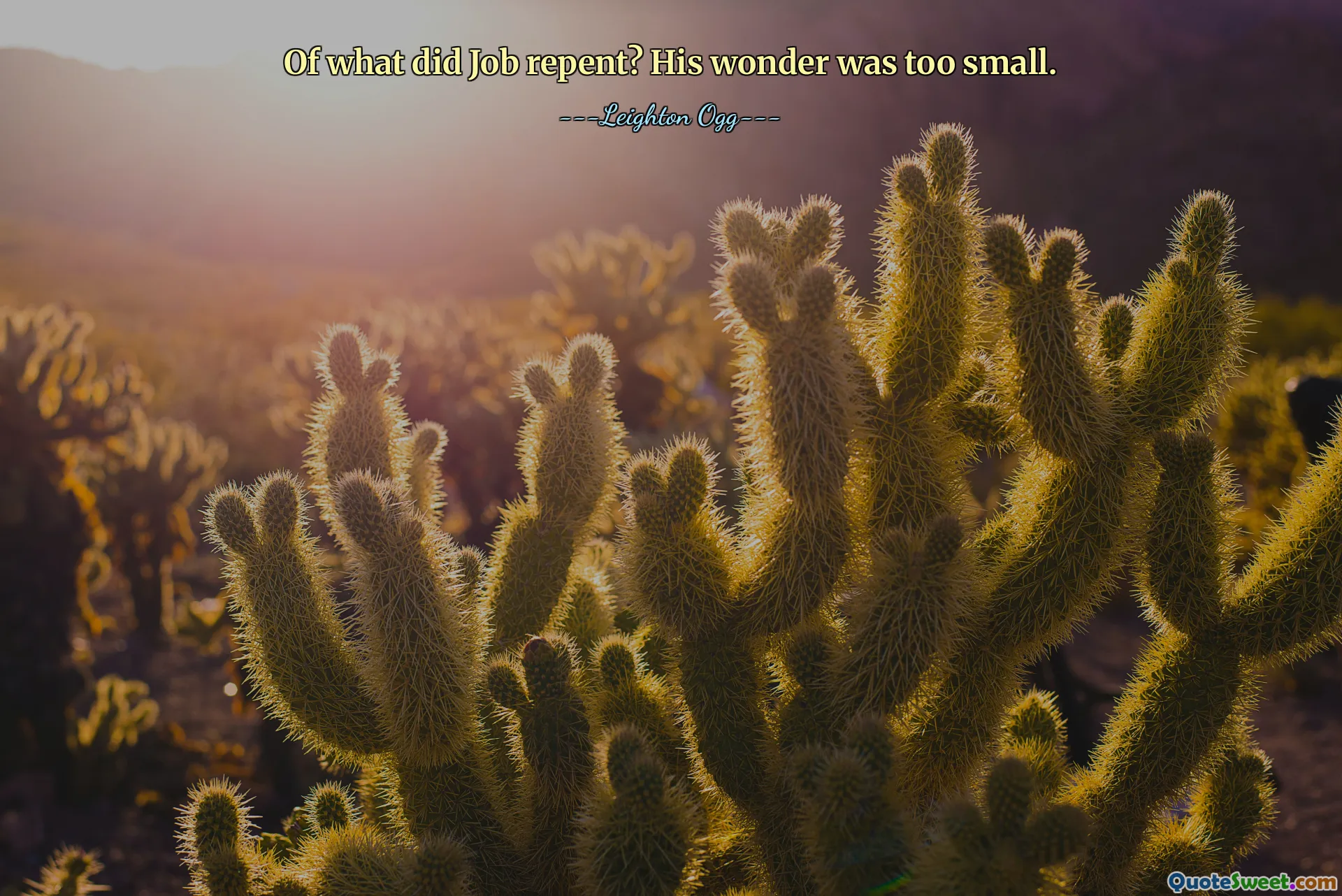 Of what did Job repent? His wonder was too small.