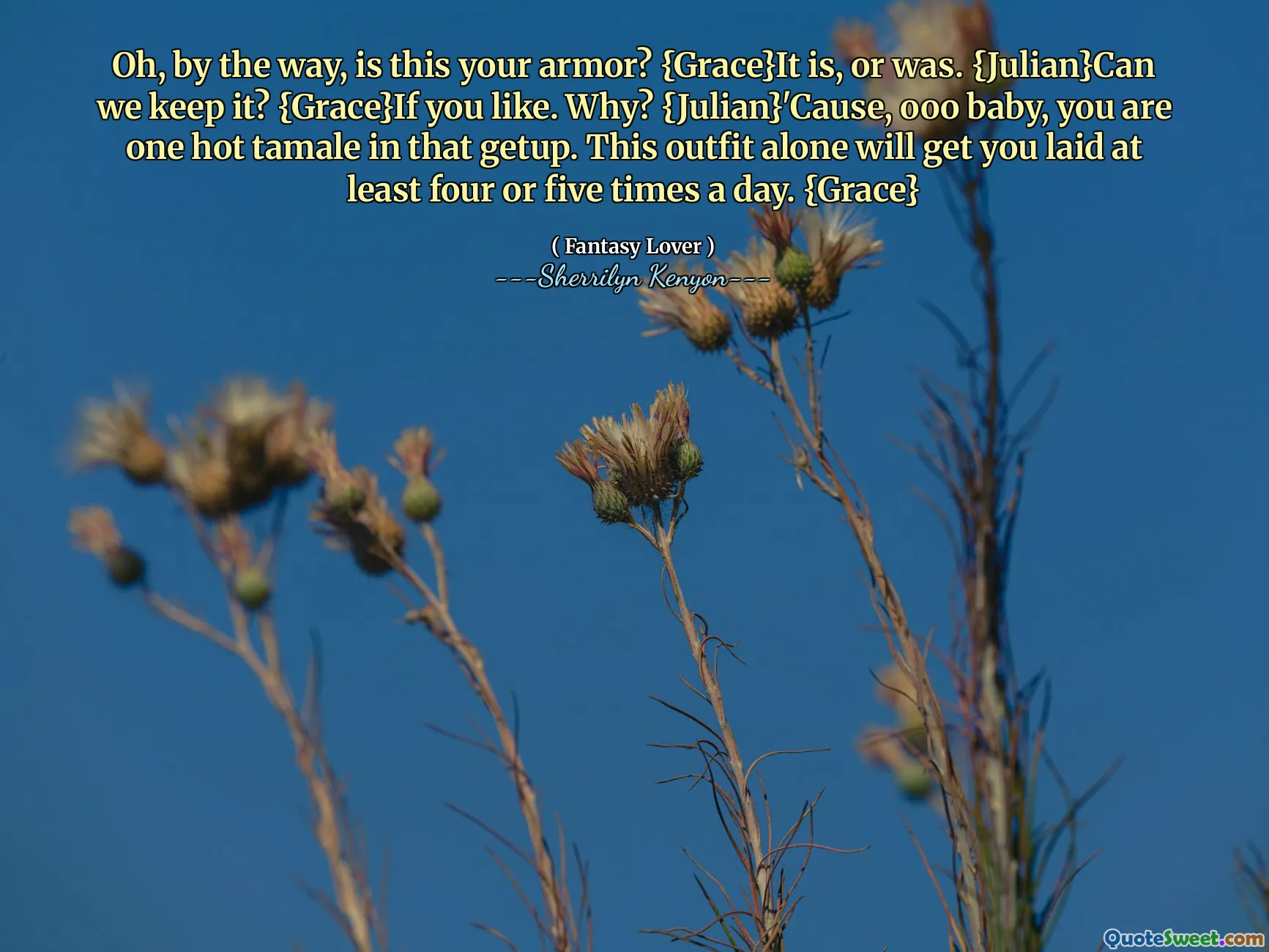 Oh, by the way, is this your armor? {Grace}It is, or was. {Julian}Can we keep it? {Grace}If you like. Why? {Julian}'Cause, ooo baby, you are one hot tamale in that getup. This outfit alone will get you laid at least four or five times a day. {Grace}