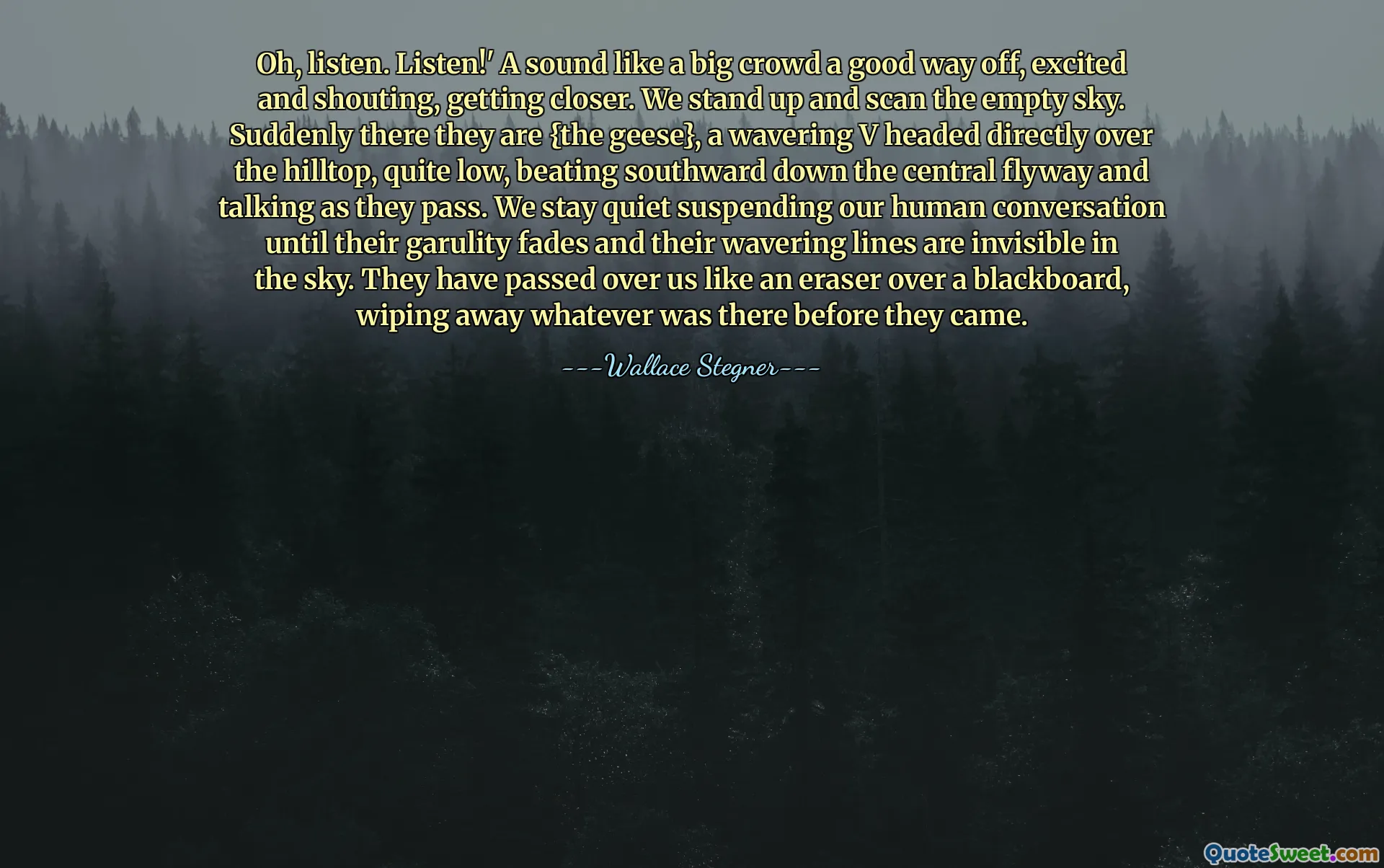 Oh, listen. Listen!' A sound like a big crowd a good way off, excited and shouting, getting closer. We stand up and scan the empty sky. Suddenly there they are {the geese}, a wavering V headed directly over the hilltop, quite low, beating southward down the central flyway and talking as they pass. We stay quiet suspending our human conversation until their garulity fades and their wavering lines are invisible in the sky. They have passed over us like an eraser over a blackboard, wiping away whatever was there before they came.