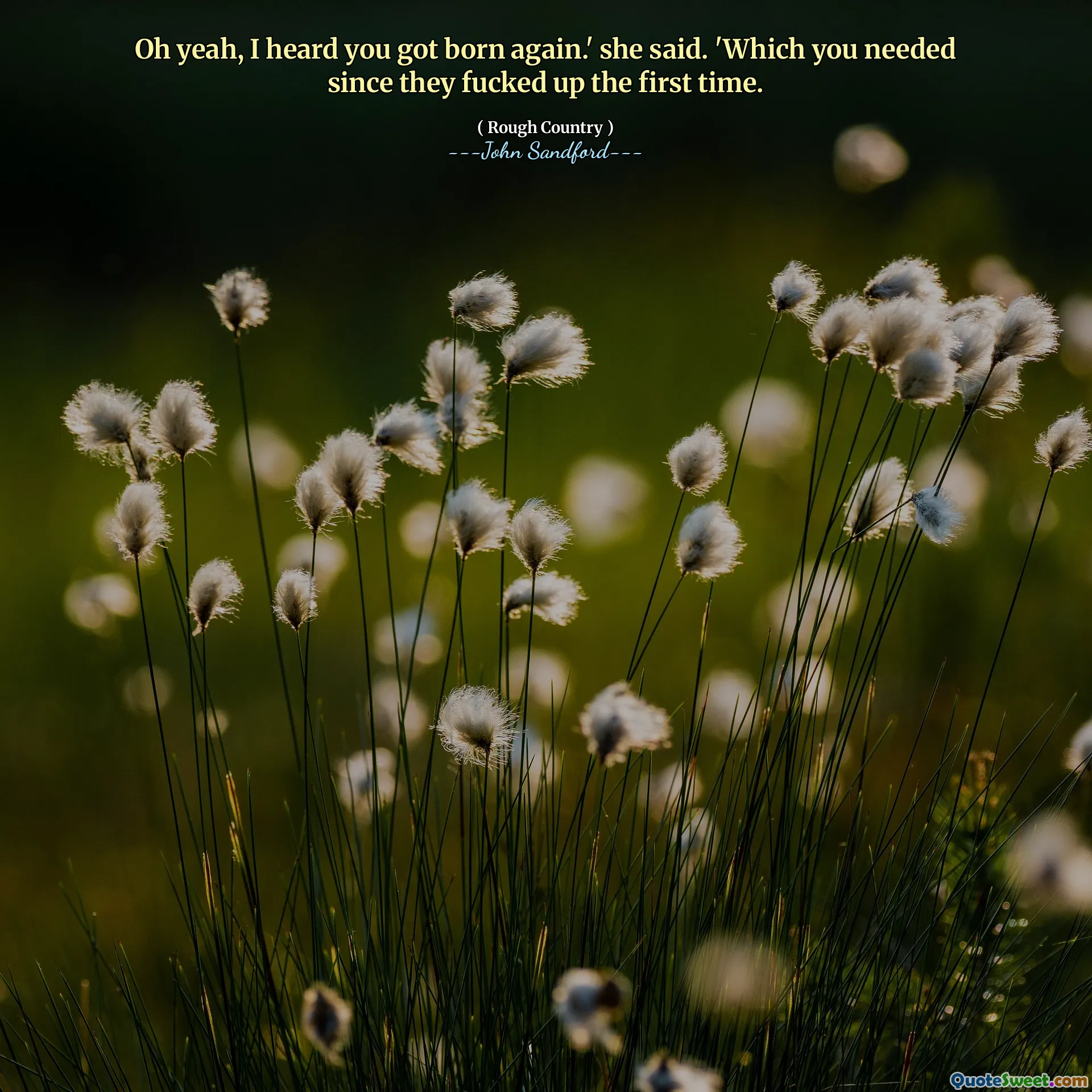 Åh ja, jag hörde att du föddes på nytt.' sa hon. "Vilket du behövde sedan de körde ihop första gången.