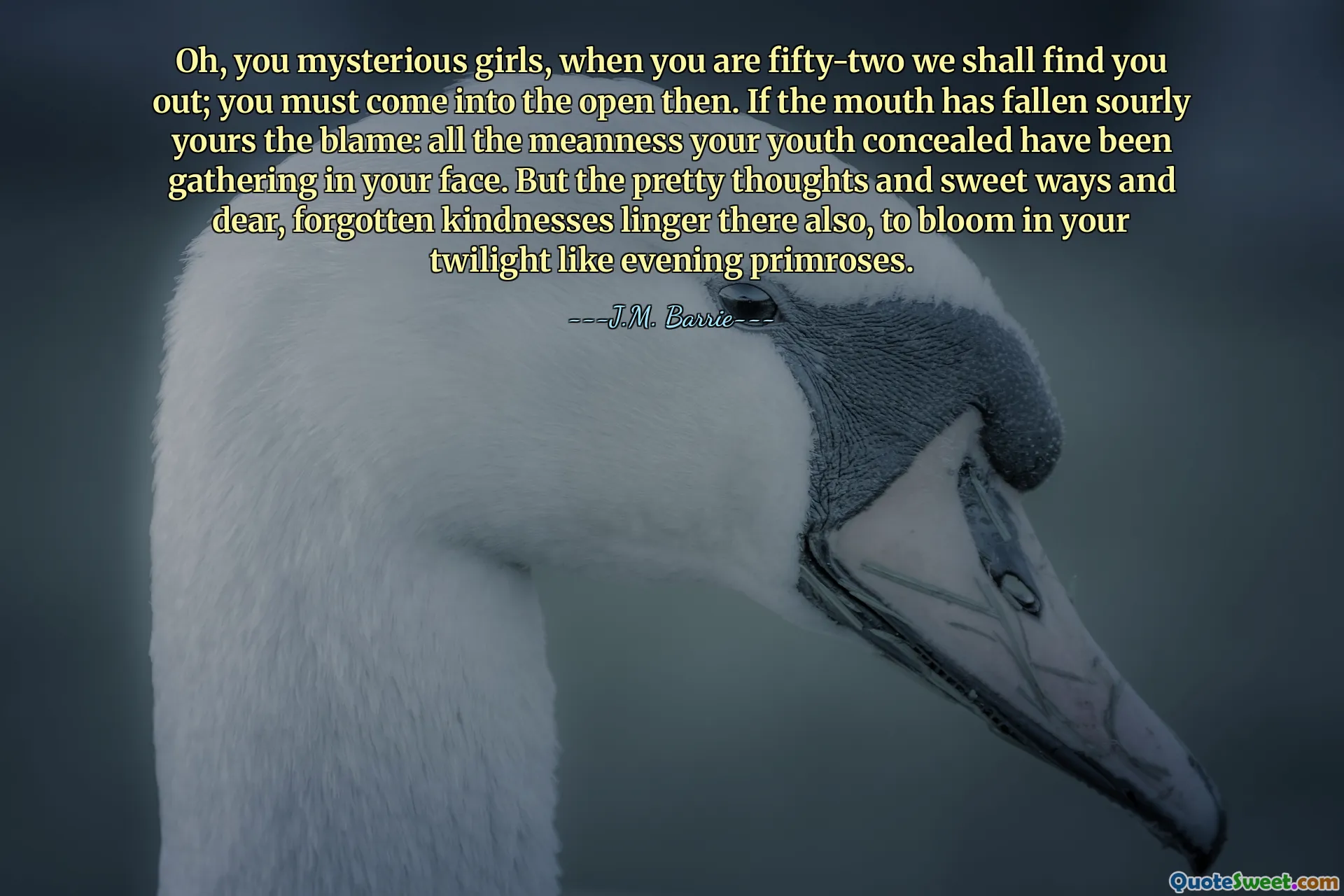 Oh, you mysterious girls, when you are fifty-two we shall find you out; you must come into the open then. If the mouth has fallen sourly yours the blame: all the meanness your youth concealed have been gathering in your face. But the pretty thoughts and sweet ways and dear, forgotten kindnesses linger there also, to bloom in your twilight like evening primroses.