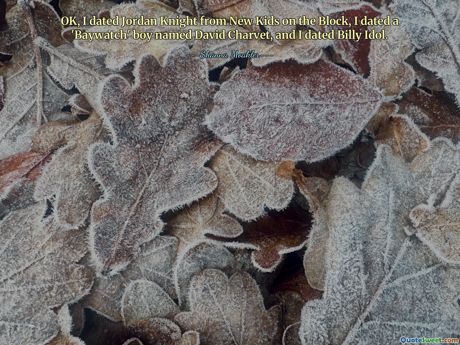 ठीक है, मैंने न्यू किड्स ऑन द ब्लॉक के जॉर्डन नाइट को डेट किया, मैंने डेविड चारवेट नाम के 'बेवॉच' लड़के को डेट किया और मैंने बिली आइडल को डेट किया।