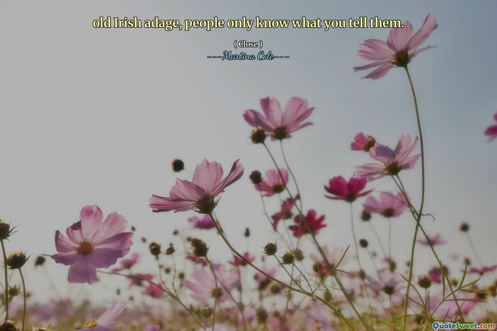 오래된 아일랜드 속담, 사람들은 당신이 말하는 것을 알고 있습니다.