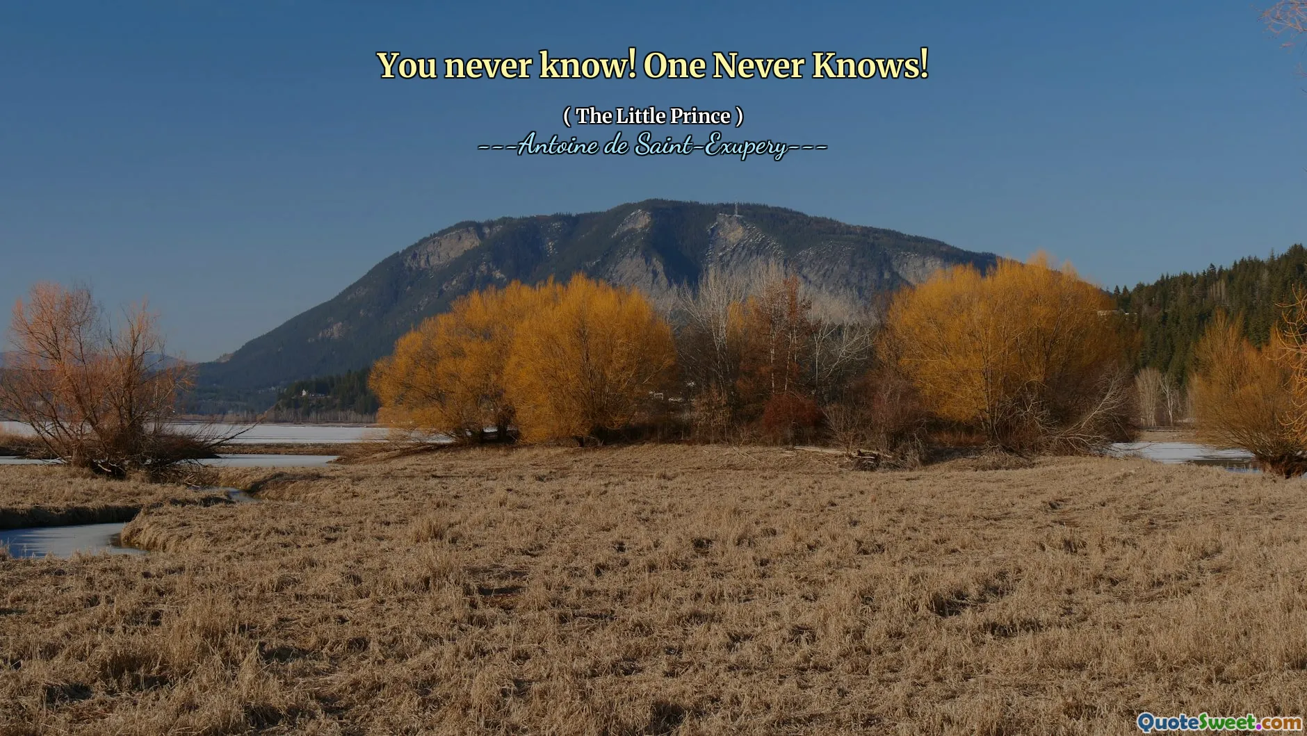 You never know! One Never Knows!