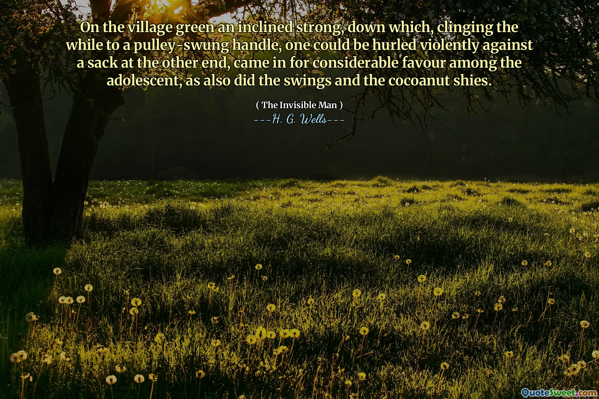 On the village green an inclined strong, down which, clinging the while to a pulley-swung handle, one could be hurled violently against a sack at the other end, came in for considerable favour among the adolescent, as also did the swings and the cocoanut shies.