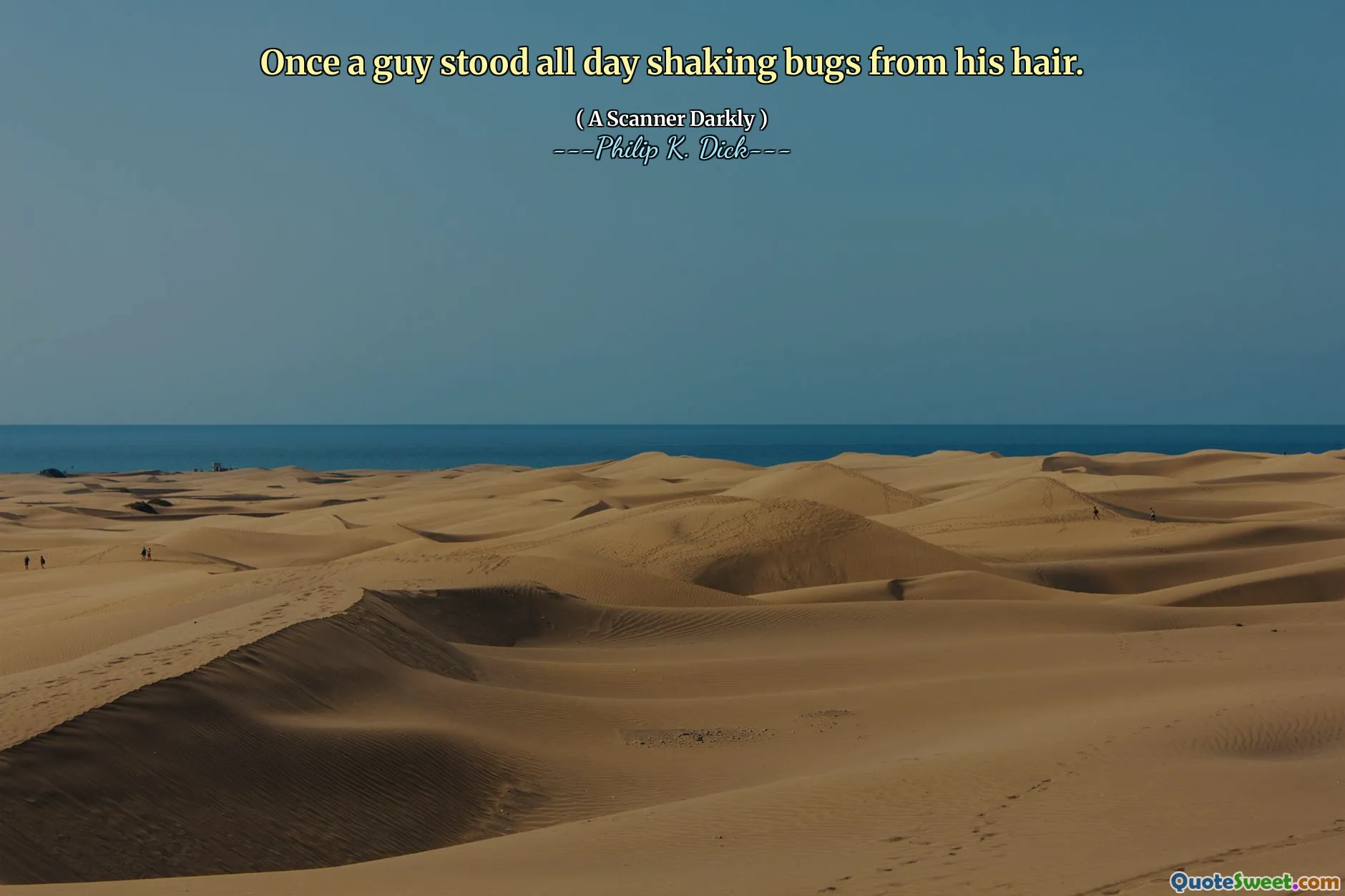 Einmal stand ein Mann den ganzen Tag auf, um Käfer aus den Haaren zu schütteln.