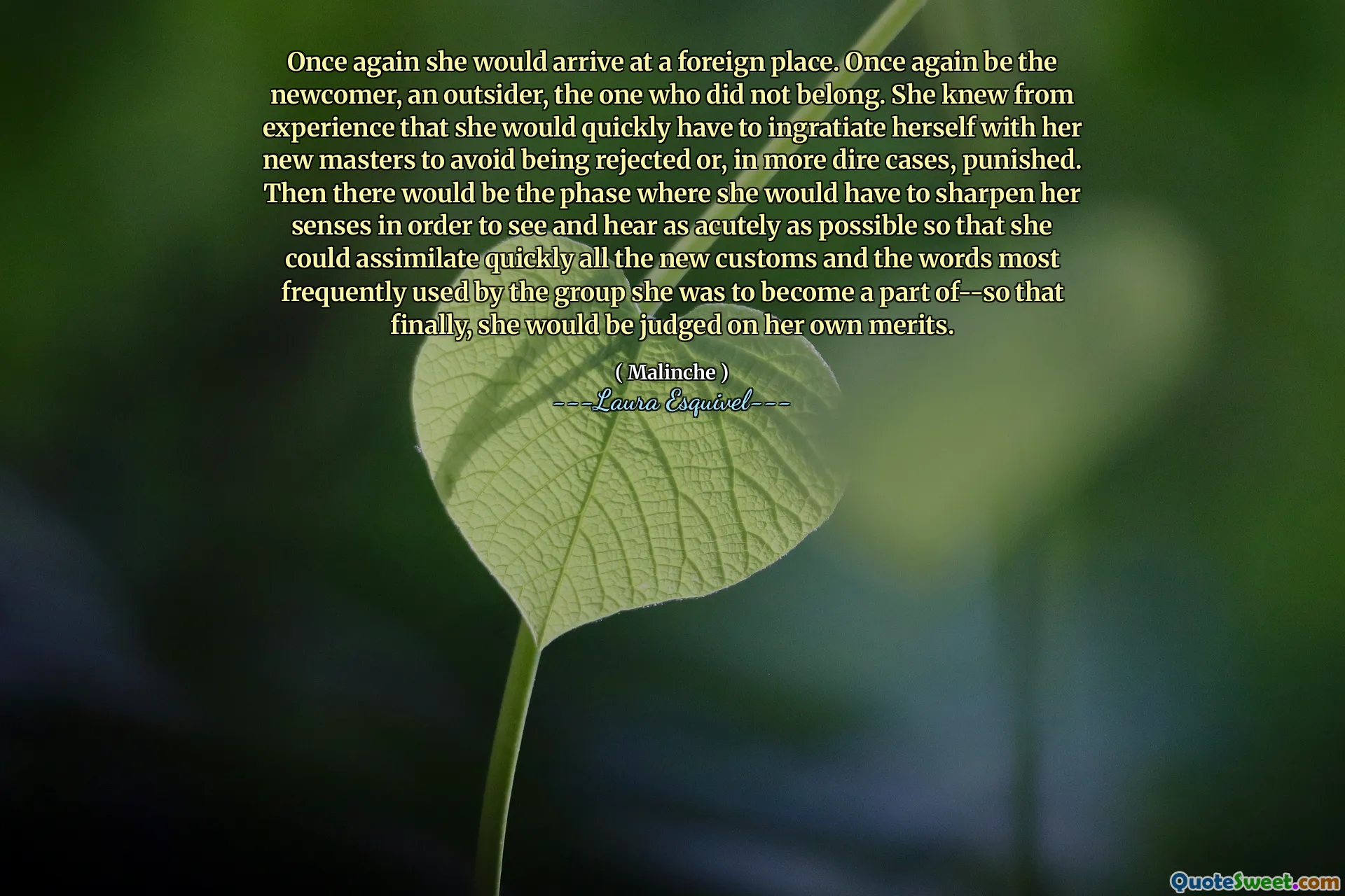 Encore une fois, elle arriverait à un endroit étranger. Soyez encore une fois le nouveau venu, un étranger, celui qui n'appartenait pas. Elle savait par expérience qu'elle devait rapidement s'introduire avec ses nouveaux maîtres pour éviter d'être rejeté ou, dans des cas plus désastreux, punis. Ensuite, il y aurait la phase où elle devrait affiner ses sens pour voir et entendre aussi profondément que possible afin qu'elle puisse assimiler rapidement toutes les nouvelles coutumes et les mots les plus souvent utilisés par le groupe qu'elle devait faire partie de - Donc, finalement, elle serait jugée sur ses propres mérites.