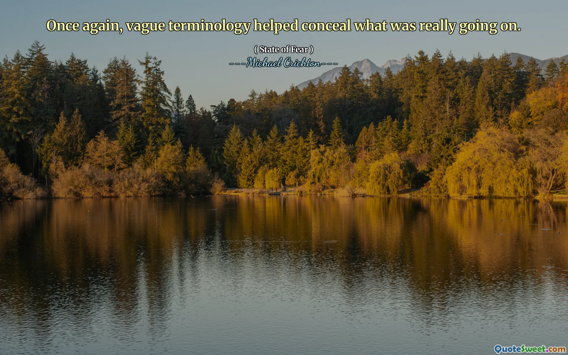 Wieder einmal half die vage Terminologie zu verbergen, was wirklich los war.