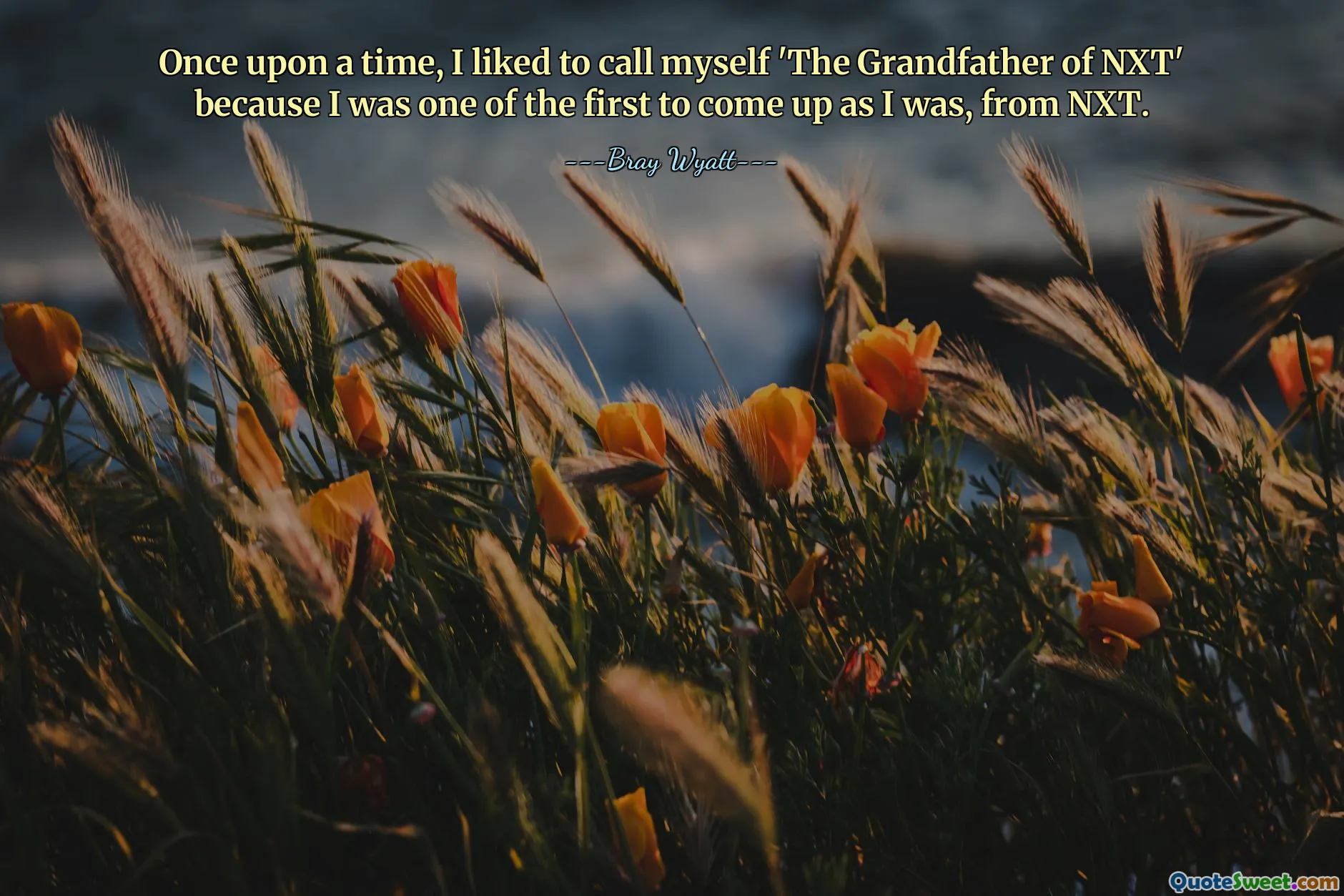 Once upon a time, I liked to call myself 'The Grandfather of NXT' because I was one of the first to come up as I was, from NXT.