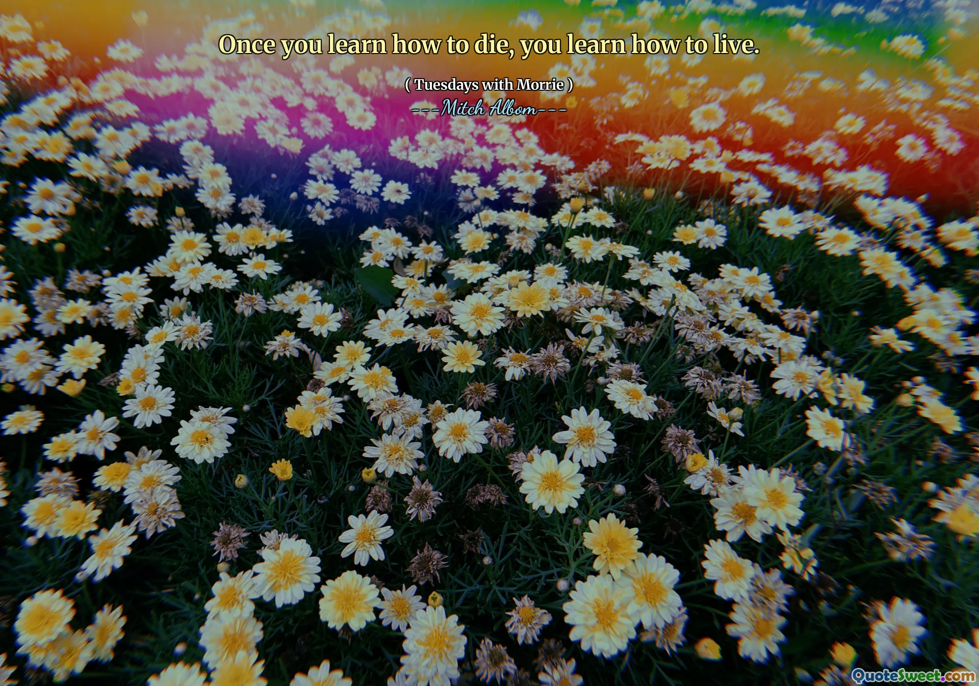 მას შემდეგ რაც ისწავლით როგორ მოკვდეთ, ისწავლით როგორ იცხოვროთ.