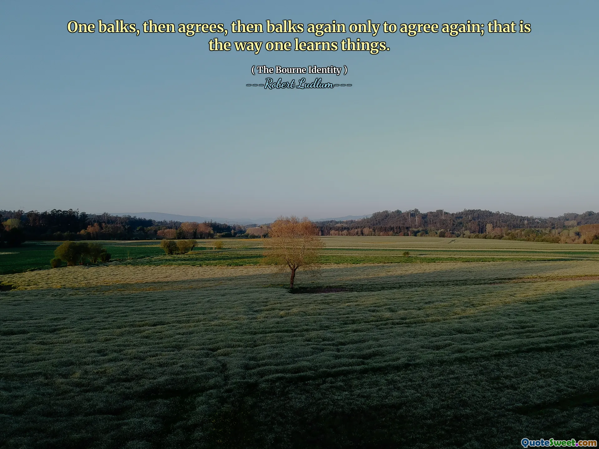 Uno se resiste, luego acepta, luego se resiste de nuevo sólo para volver a estar de acuerdo; así es como uno aprende las cosas.