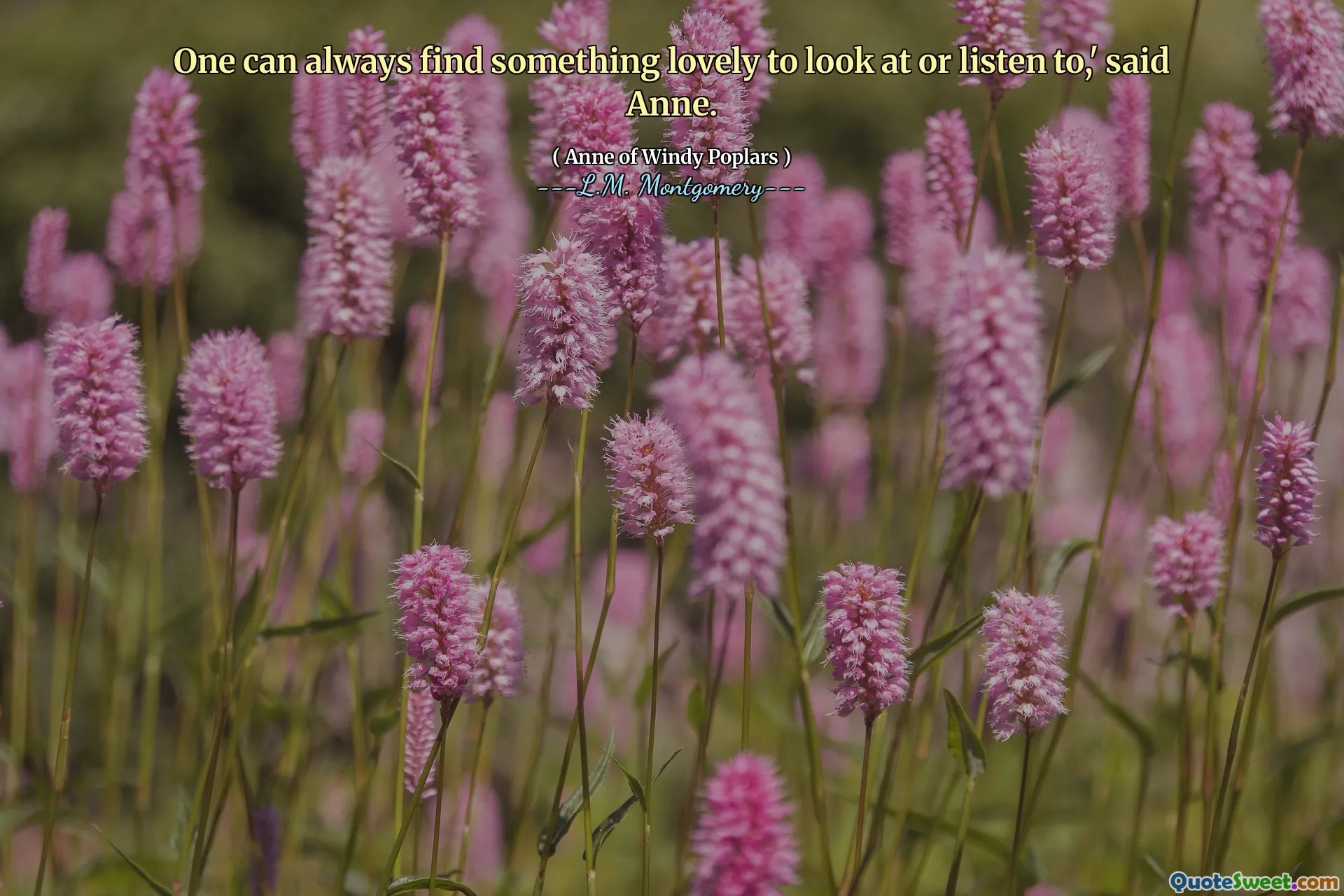 One can always find something lovely to look at or listen to,' said Anne.