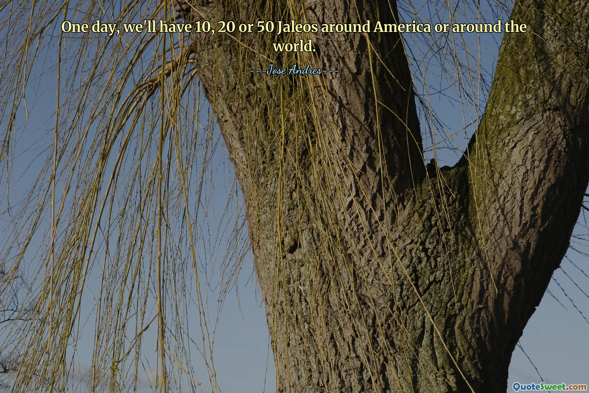 One day, we'll have 10, 20 or 50 Jaleos around America or around the world.