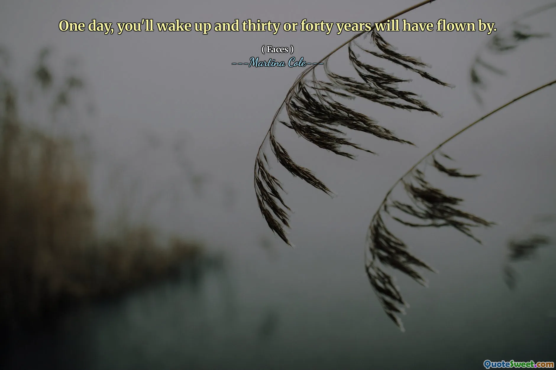Un jour, vous vous réveillerez et trente ou quarante ans auront volé.