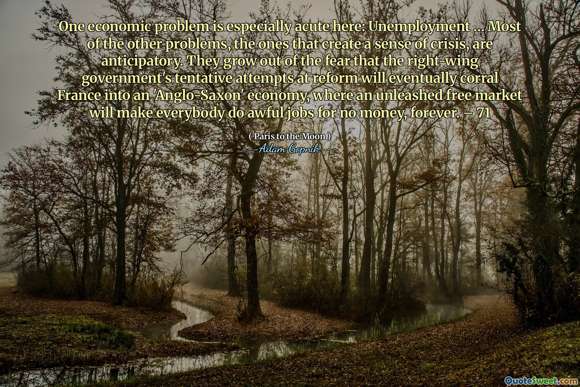 一个经济问题在这里尤其严重：失业……大多数其他问题，那些会产生危机感的问题是预期的。他们出于担心，右翼政府对改革的暂定尝试最终会腐化法国进入“盎格鲁 - 撒克逊人”经济，在那里释放的自由市场将使每个人永远都无钱地从事糟糕的工作。 -  71