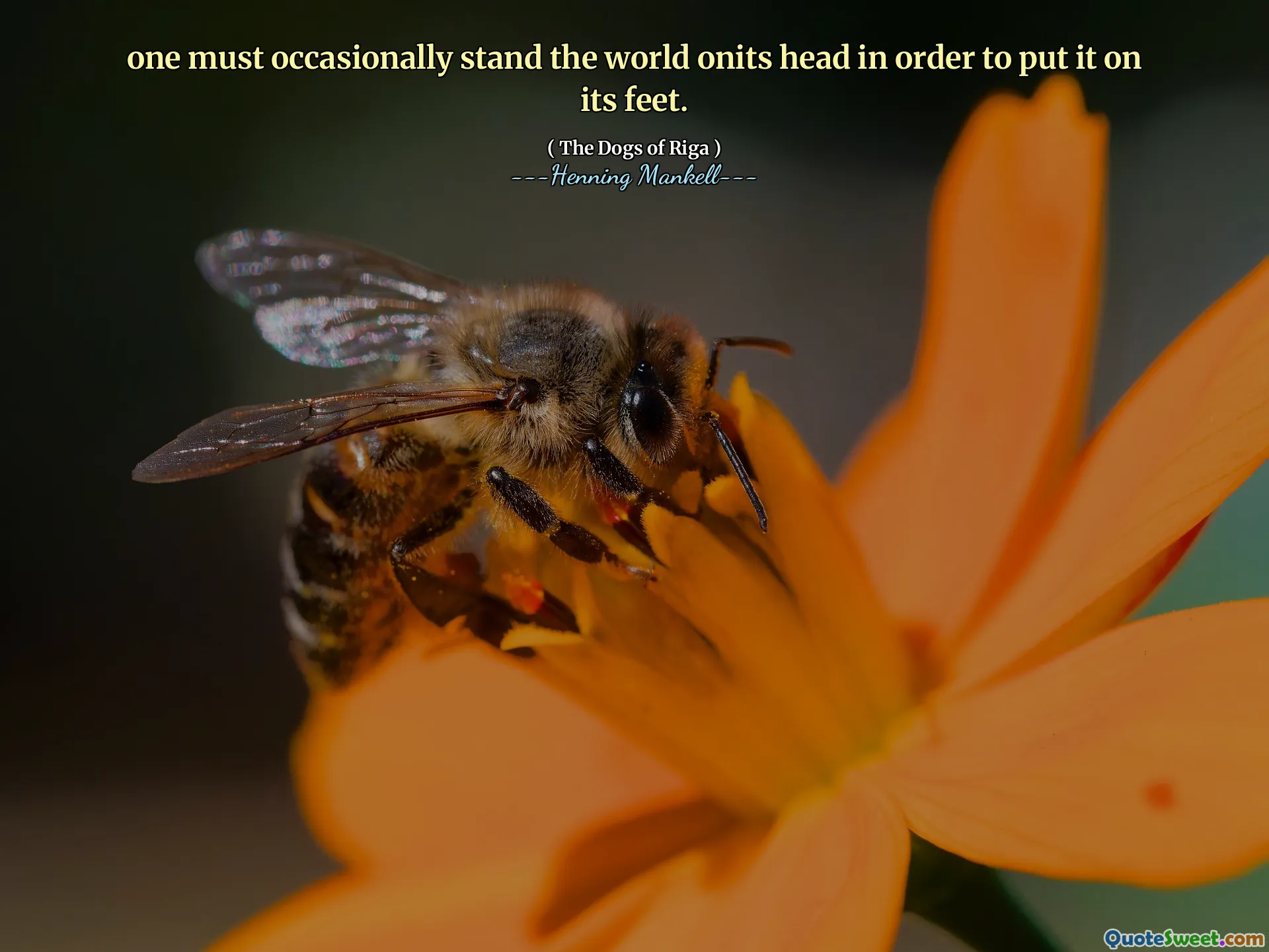 one must occasionally stand the world onits head in order to put it on its feet.