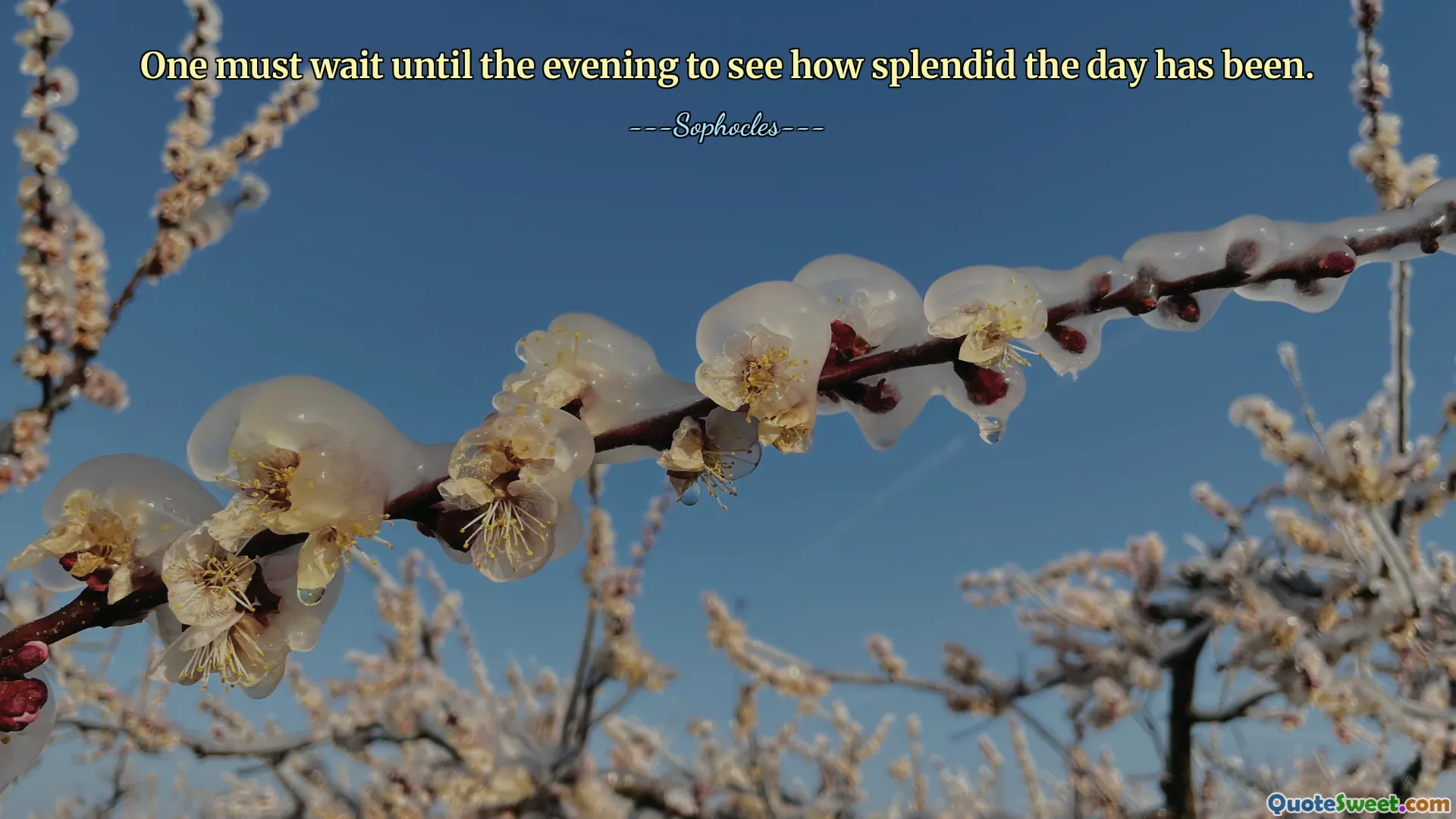 One must wait until the evening to see how splendid the day has been.